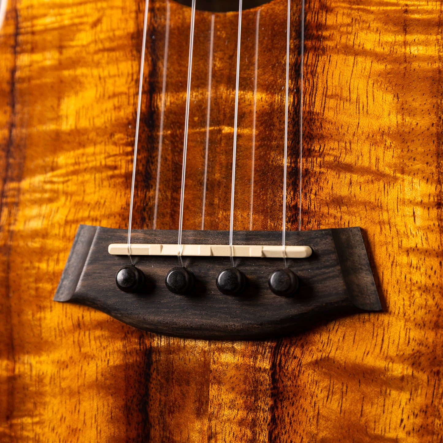 Kanilea K-1 T/ PG