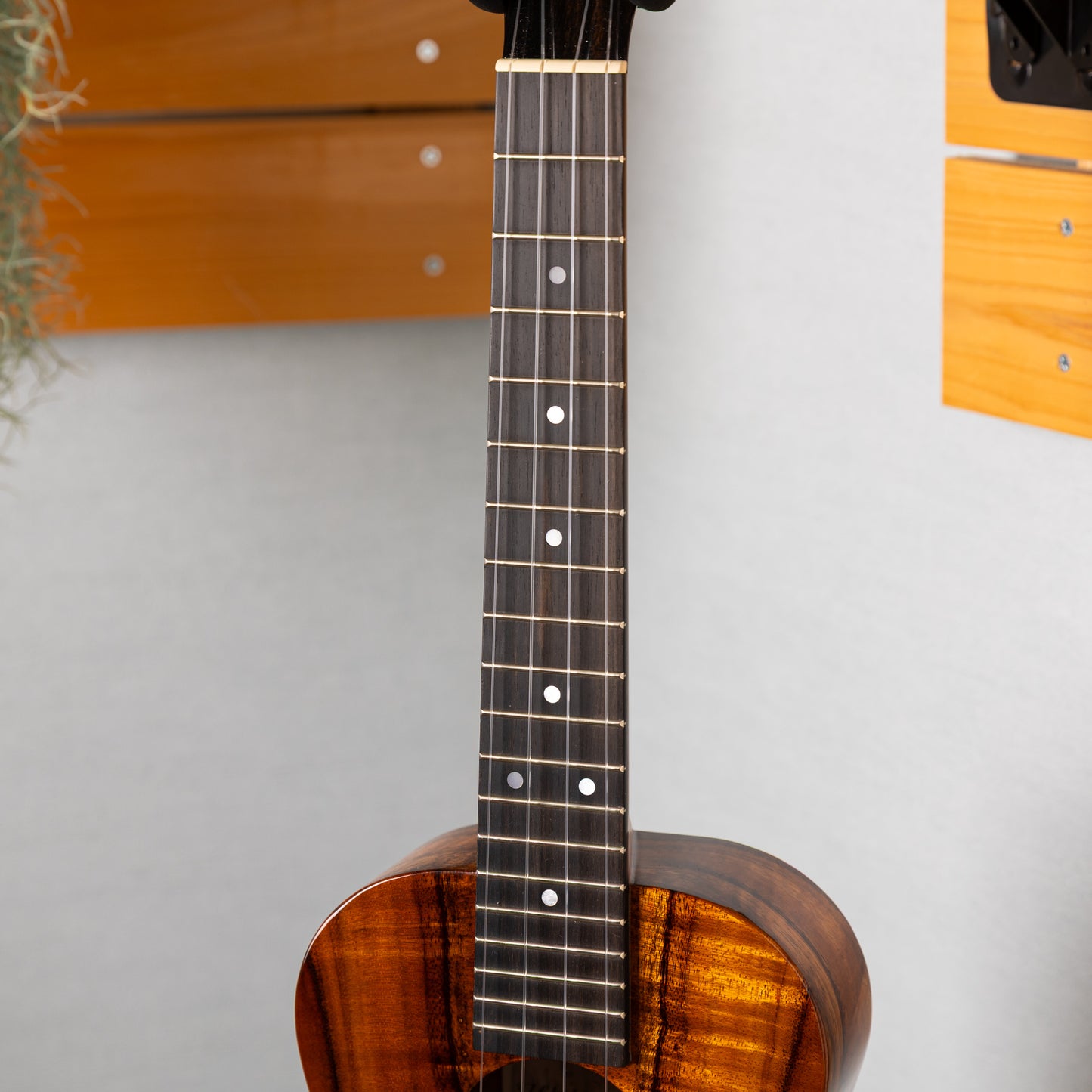 Kanilea K-1 T/ PG