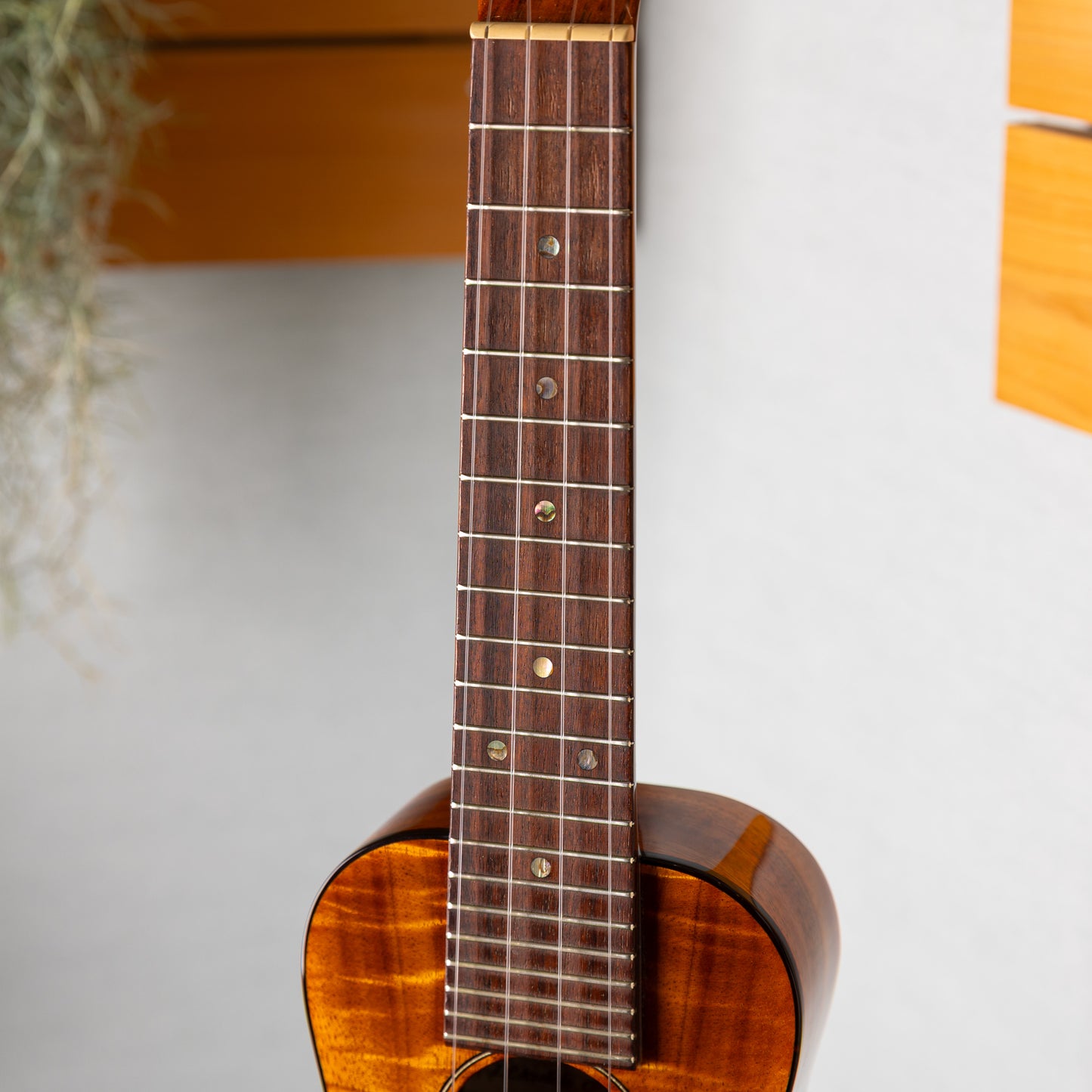 Kanile'a K-2S/Premium　2014