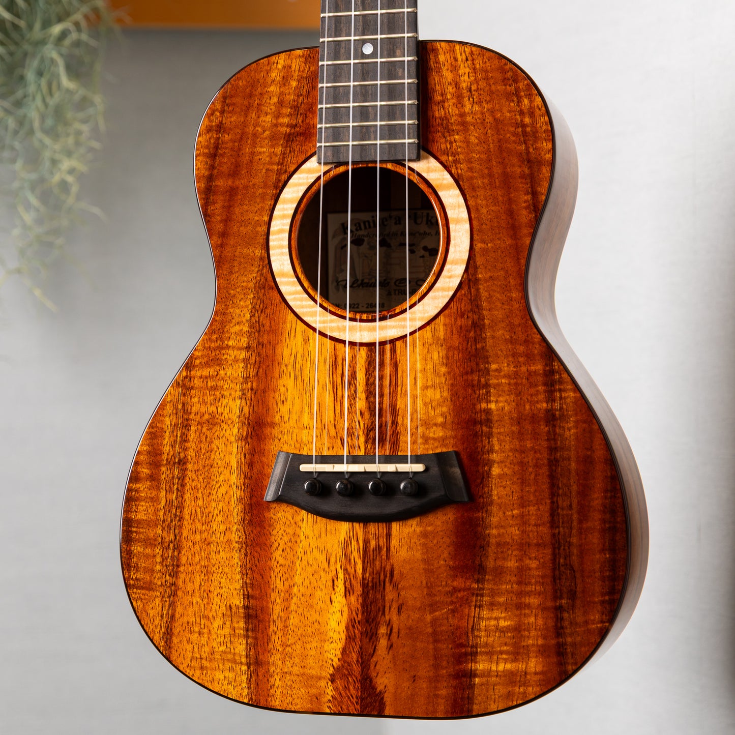 Kanilea K-3T/DG