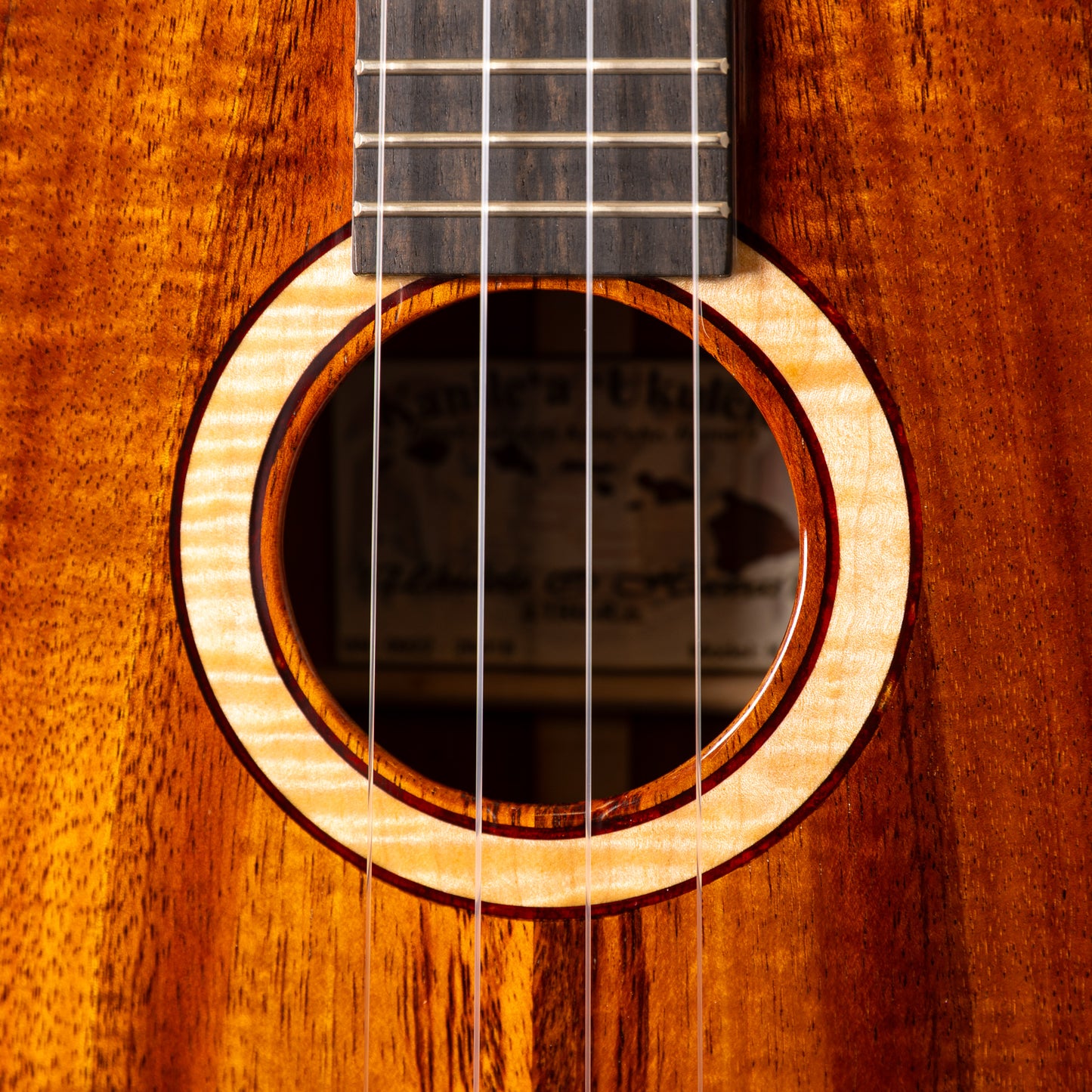 Kanilea K-3T/DG
