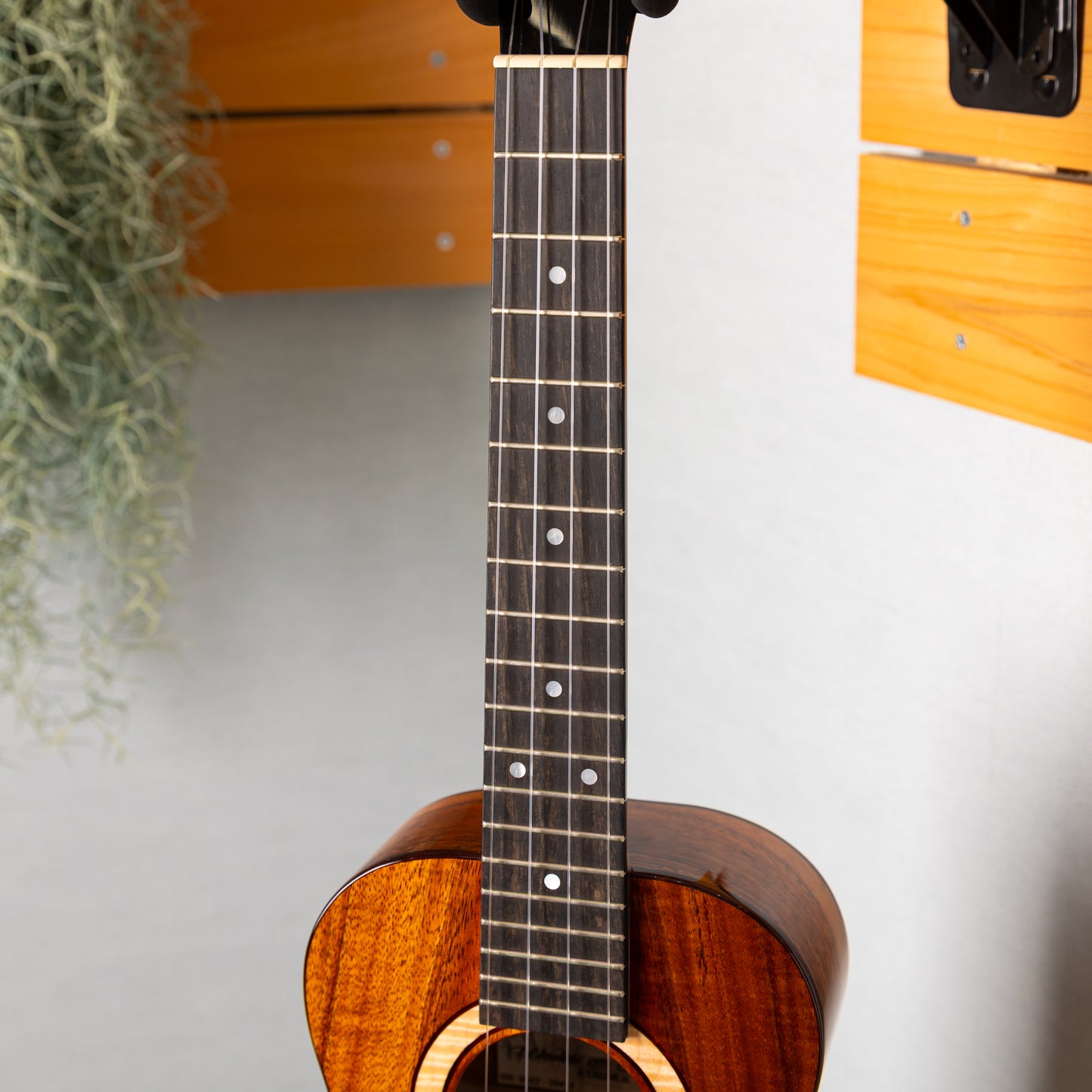 Kanilea K-3T/DG