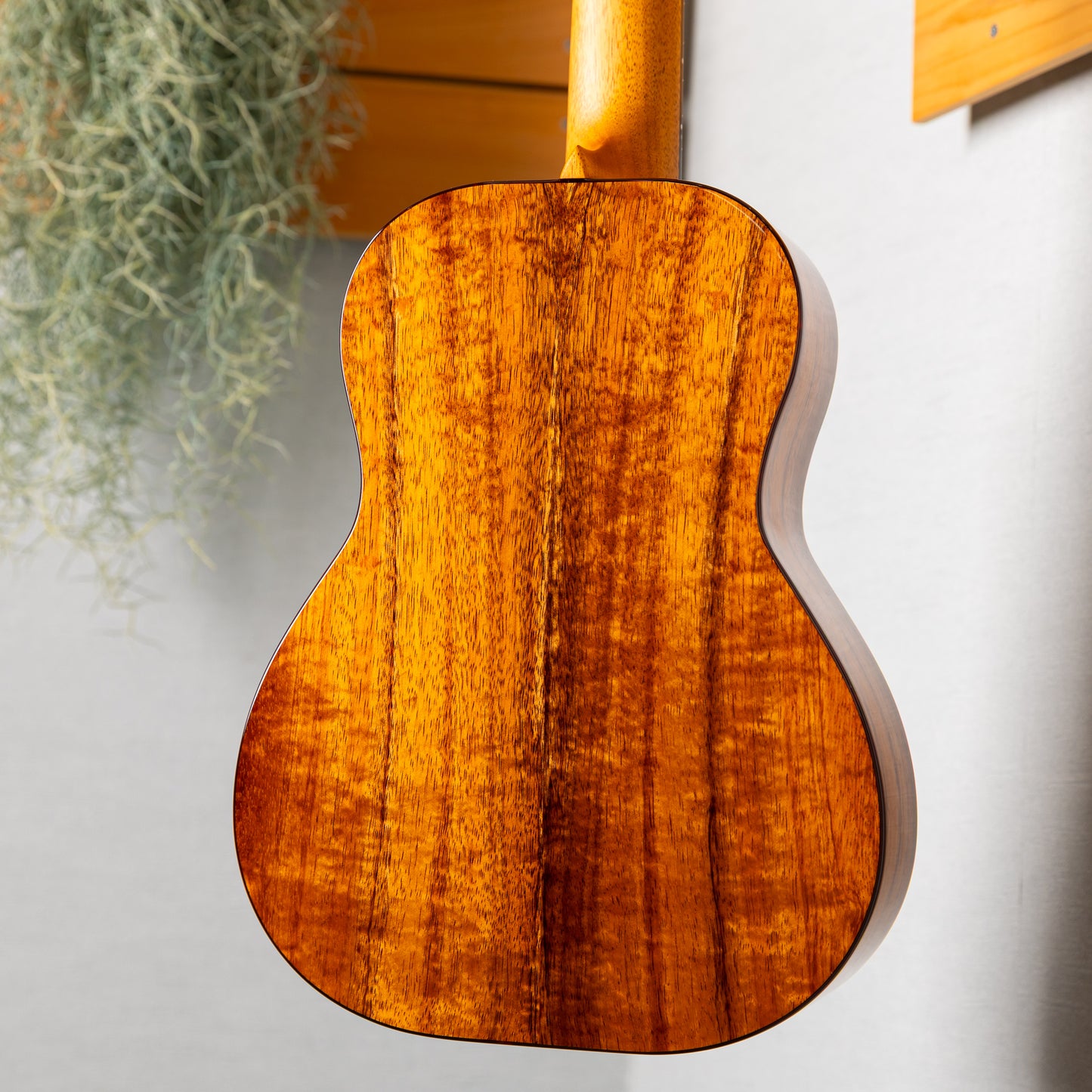 Kanilea K-3T/DG