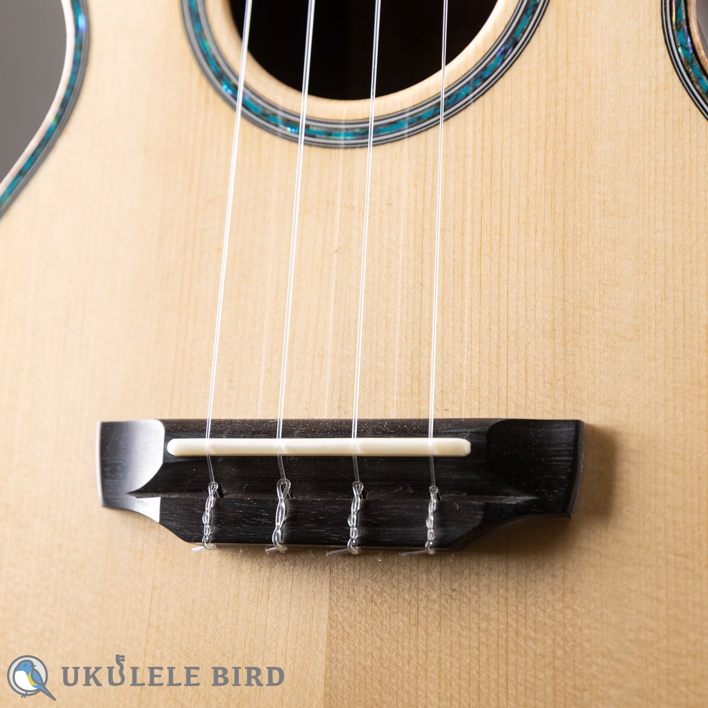 Kawakami NWUT-JA  UB5th