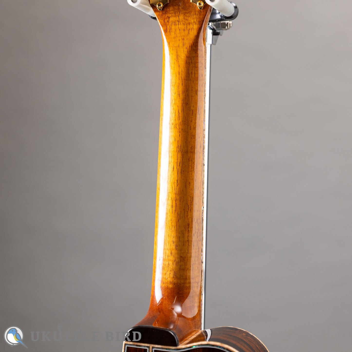 Kawakami NWUT-JA  UB5th