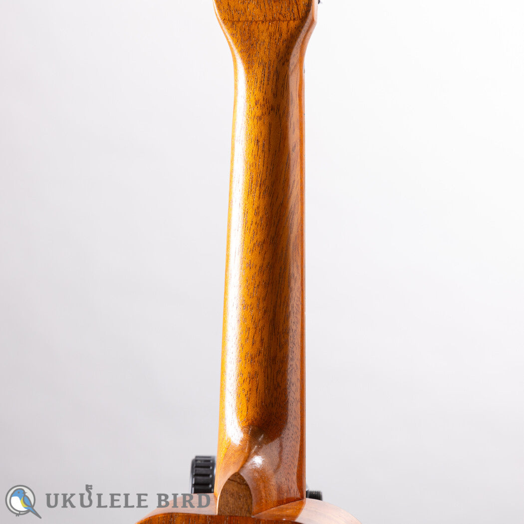 Kelii S-GLN/V Soprano Longneck