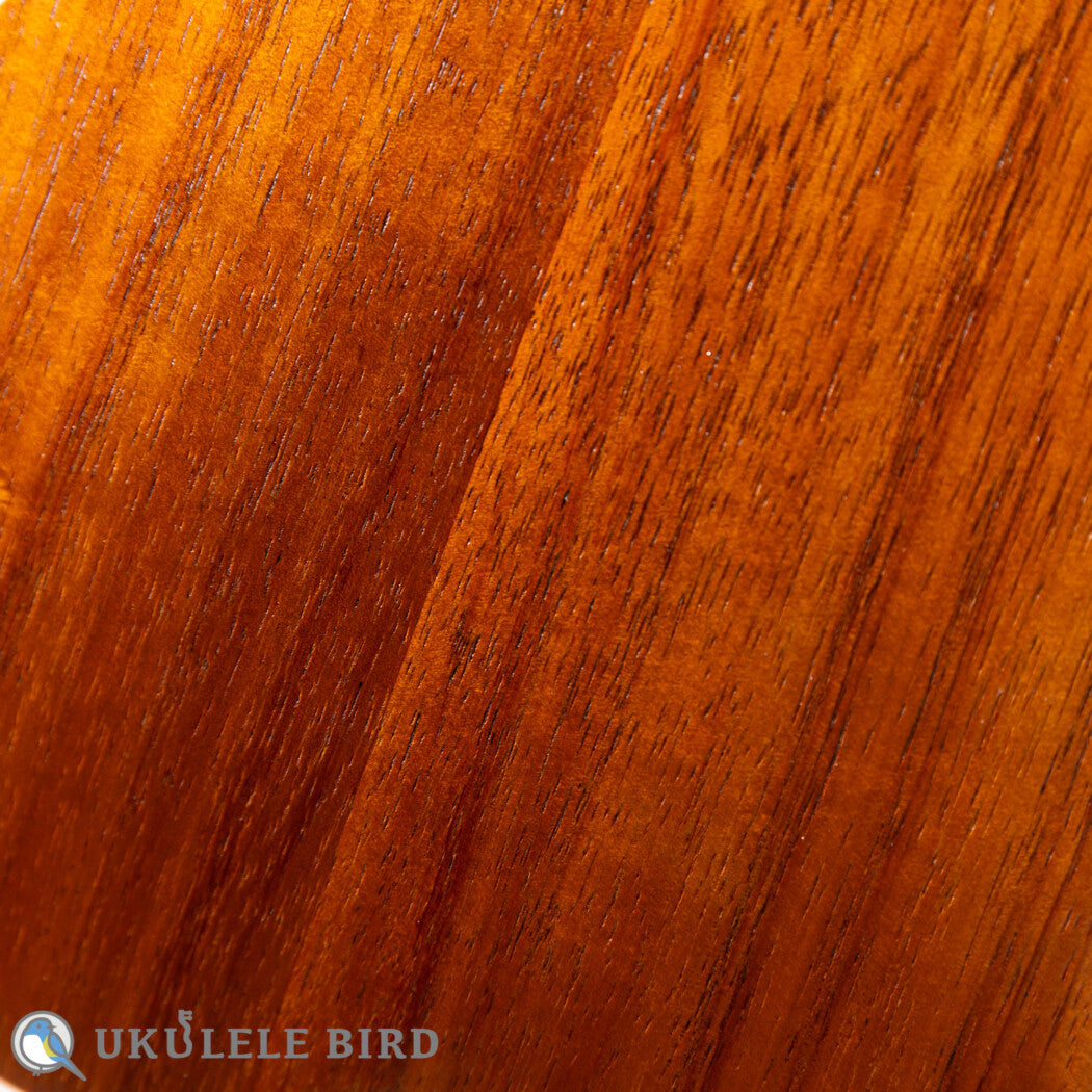 Kelii S-GLN/V Soprano Longneck