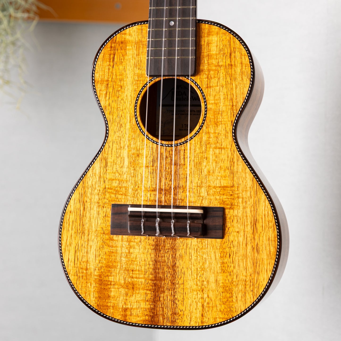 KIDA UkuleleWorks Concert DX Hawaiian Koa