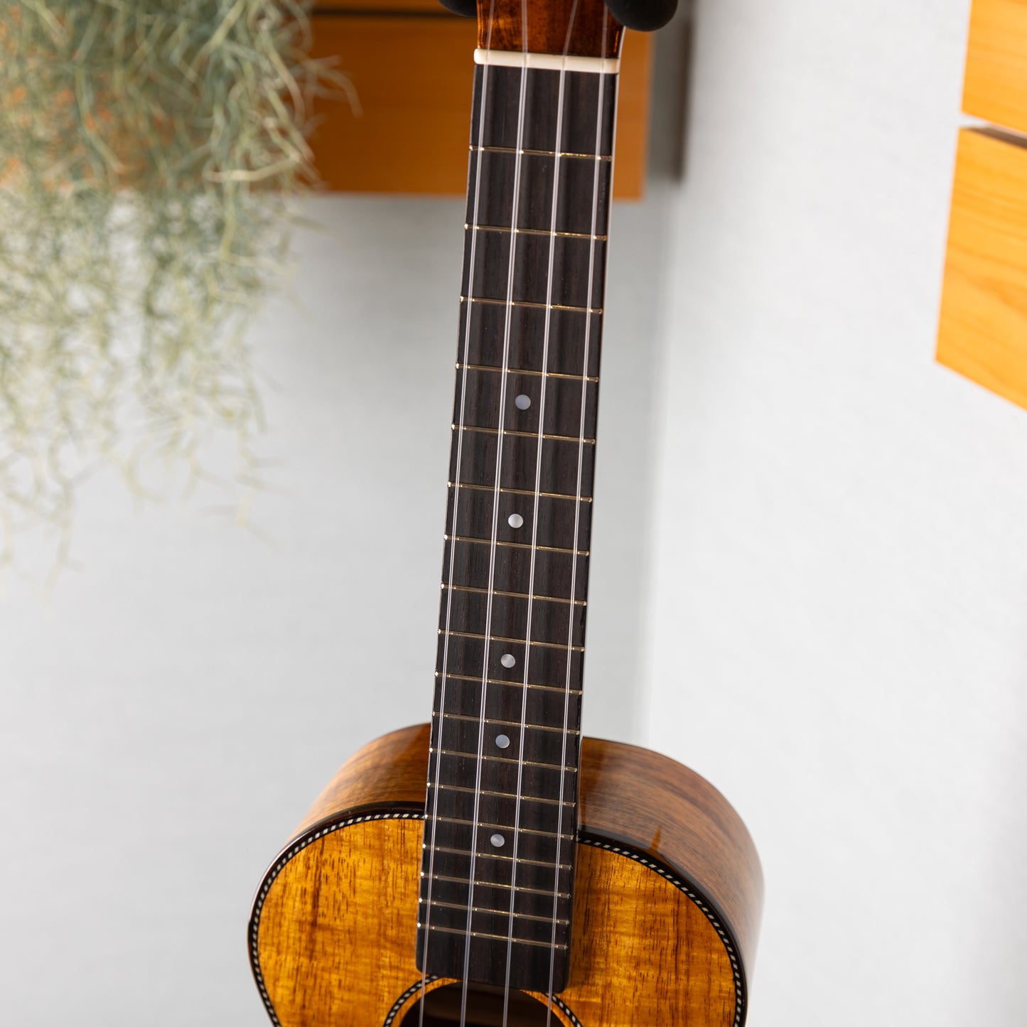 KIDA UkuleleWorks Concert DX Hawaiian Koa