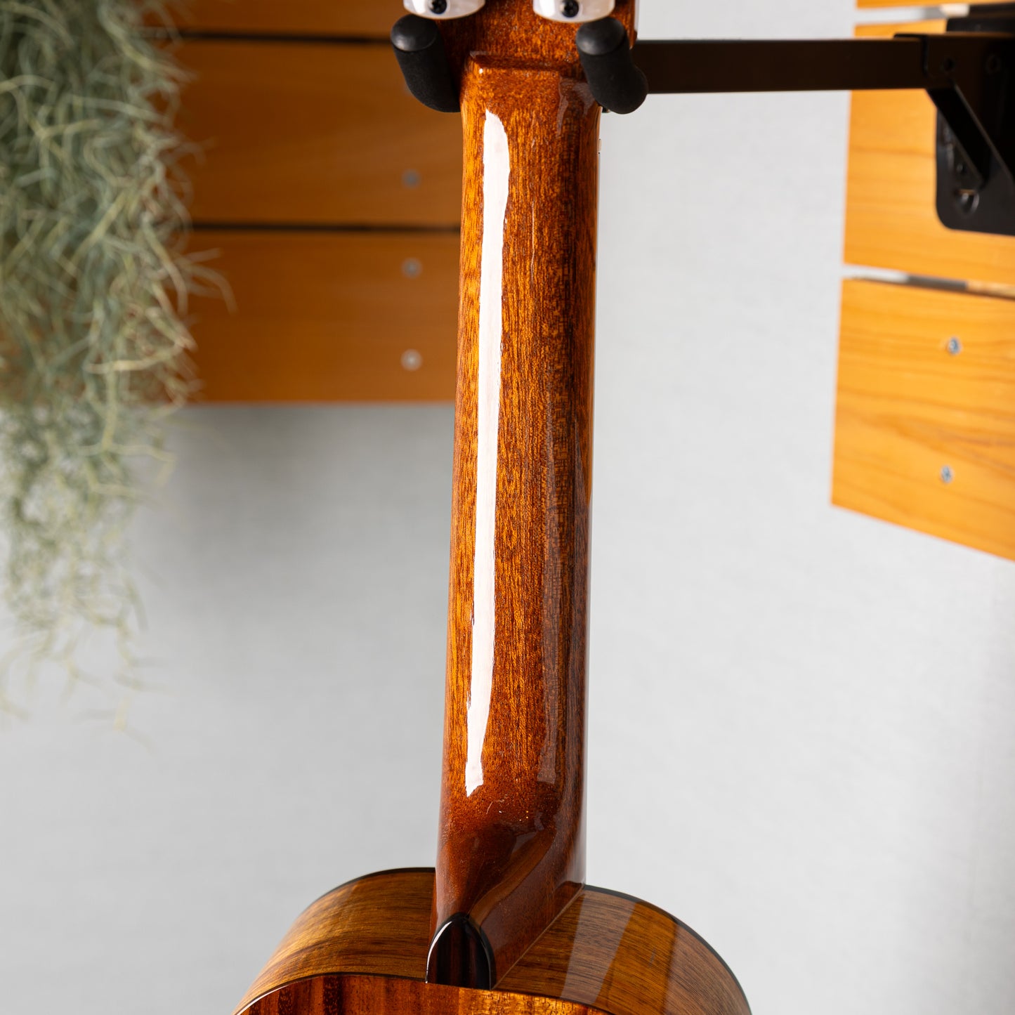 KIDA UkuleleWorks Concert DX Hawaiian Koa