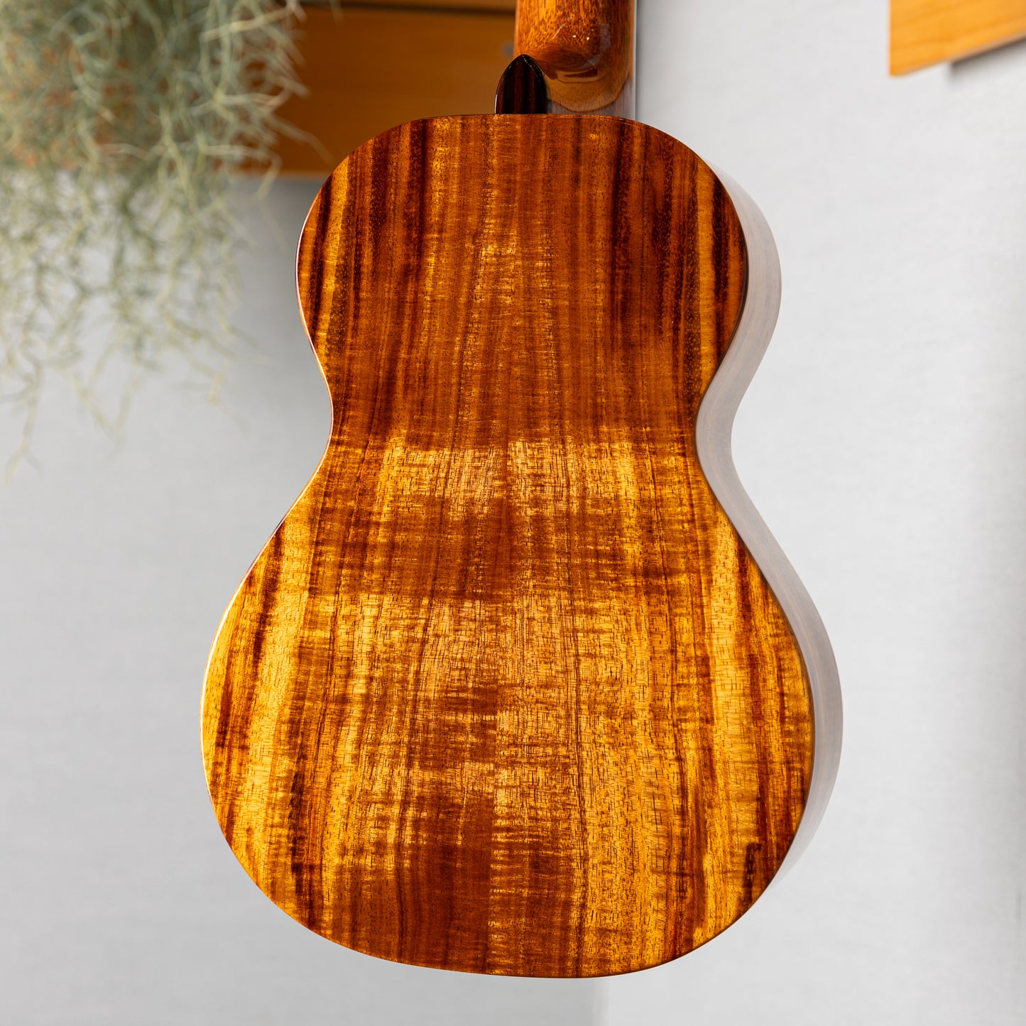 KIDA UkuleleWorks Concert DX Hawaiian Koa