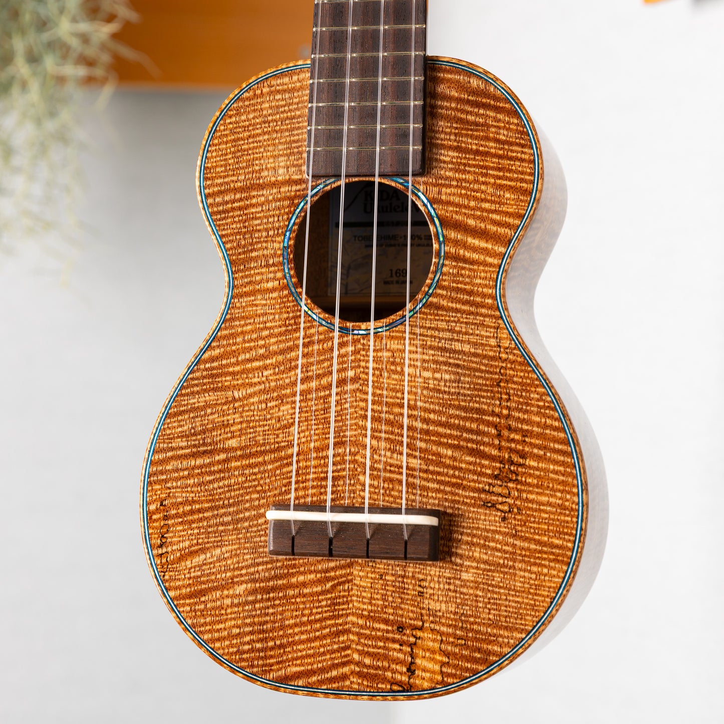KIDA Ukulele Works Soprano Longneck Mango