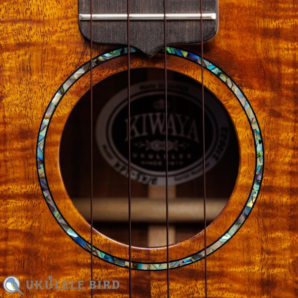 KIWAYA KPT-5K/E