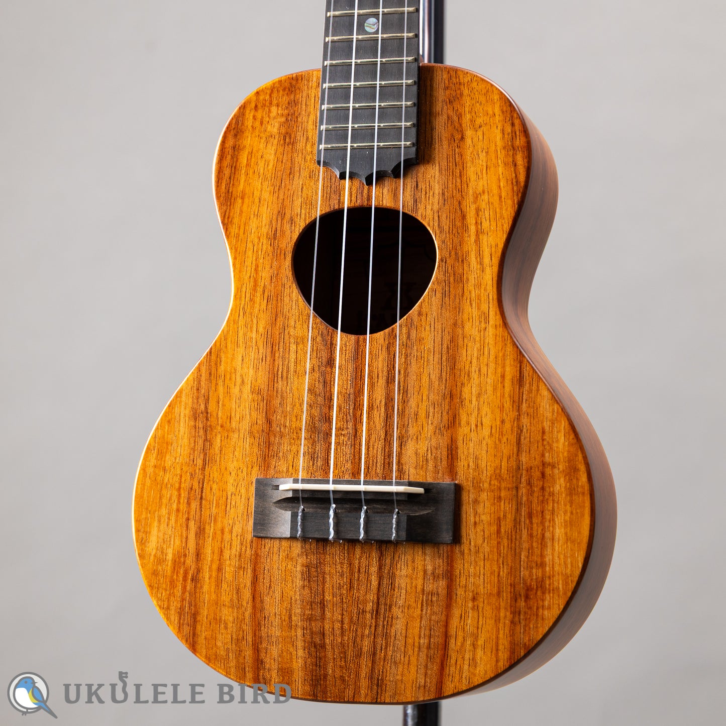 Koaloha KCM-10 Concert