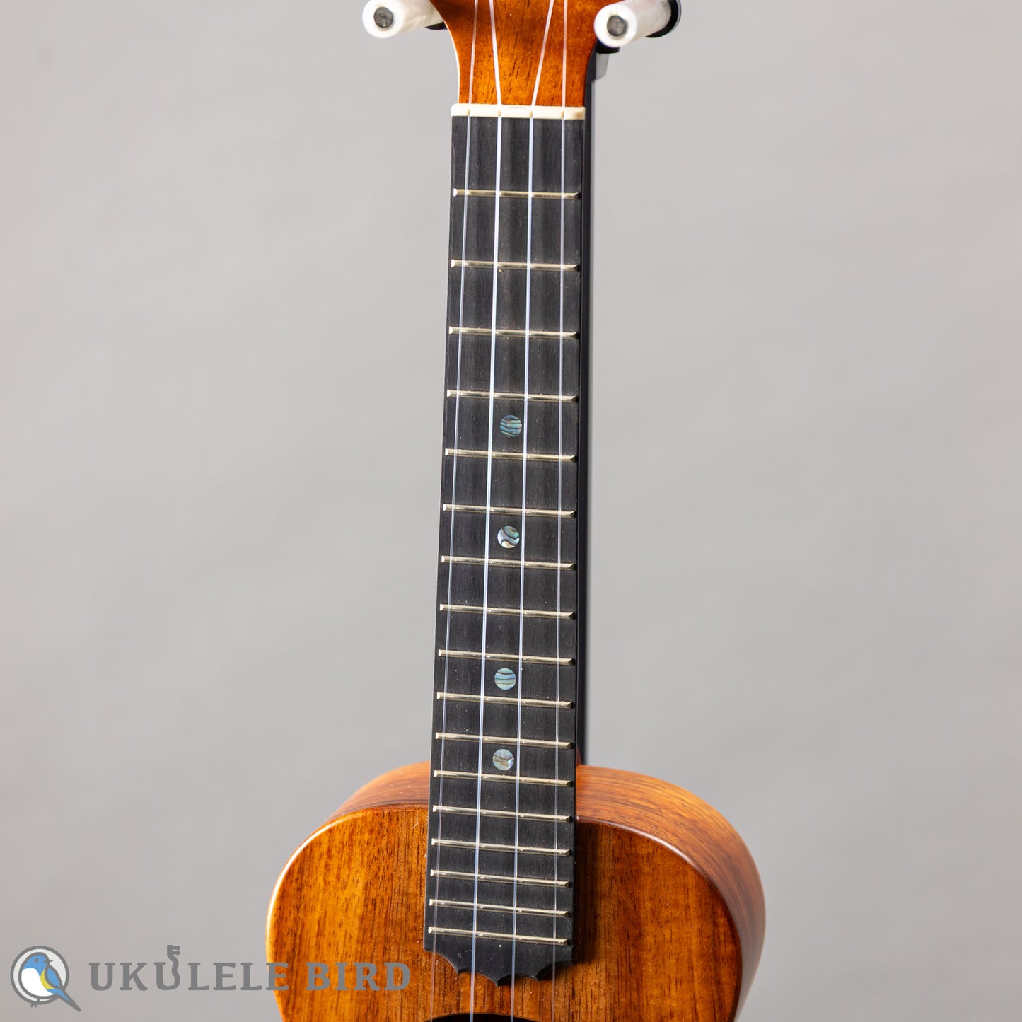 Koaloha KCM-10 Concert