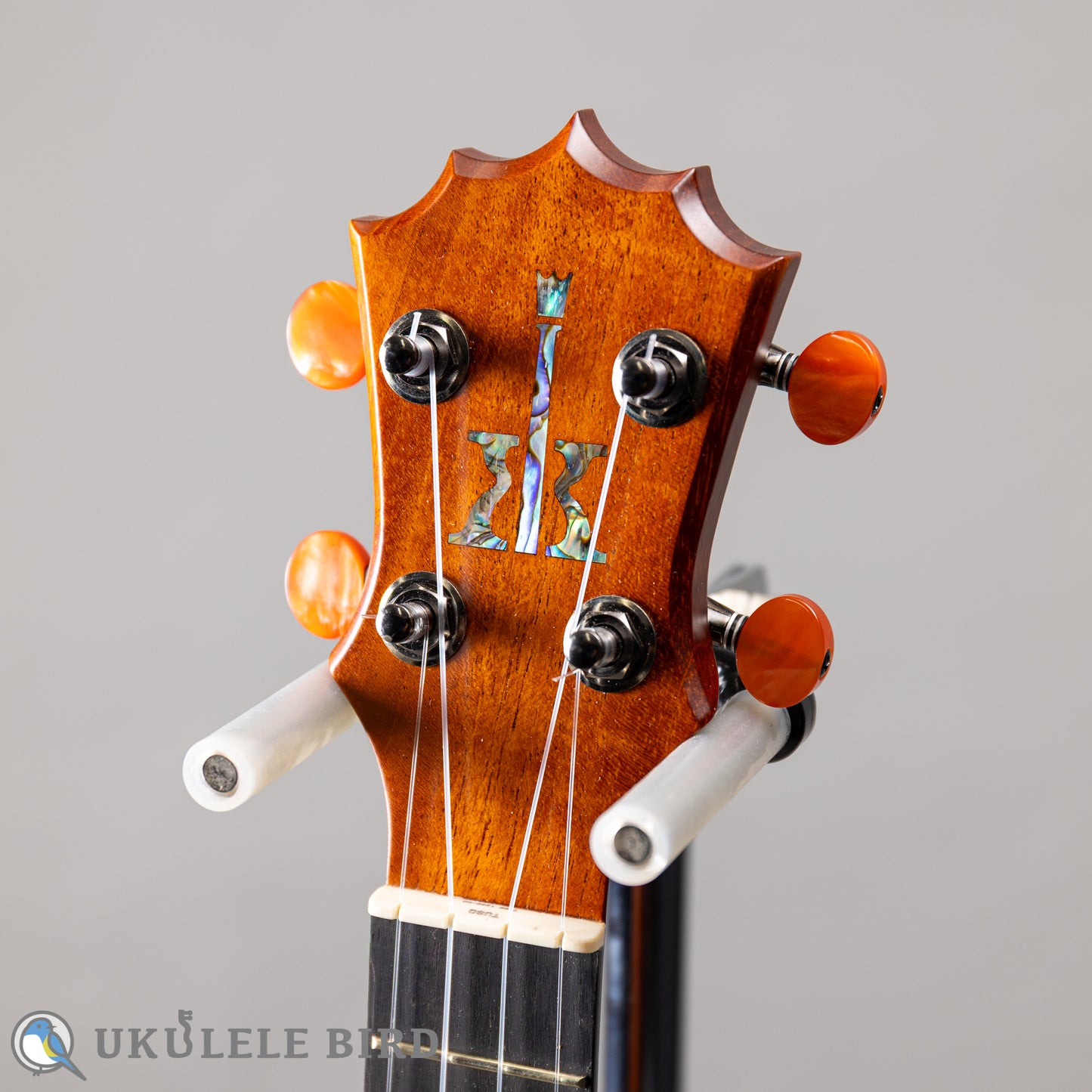 Koaloha KCM-10 Concert