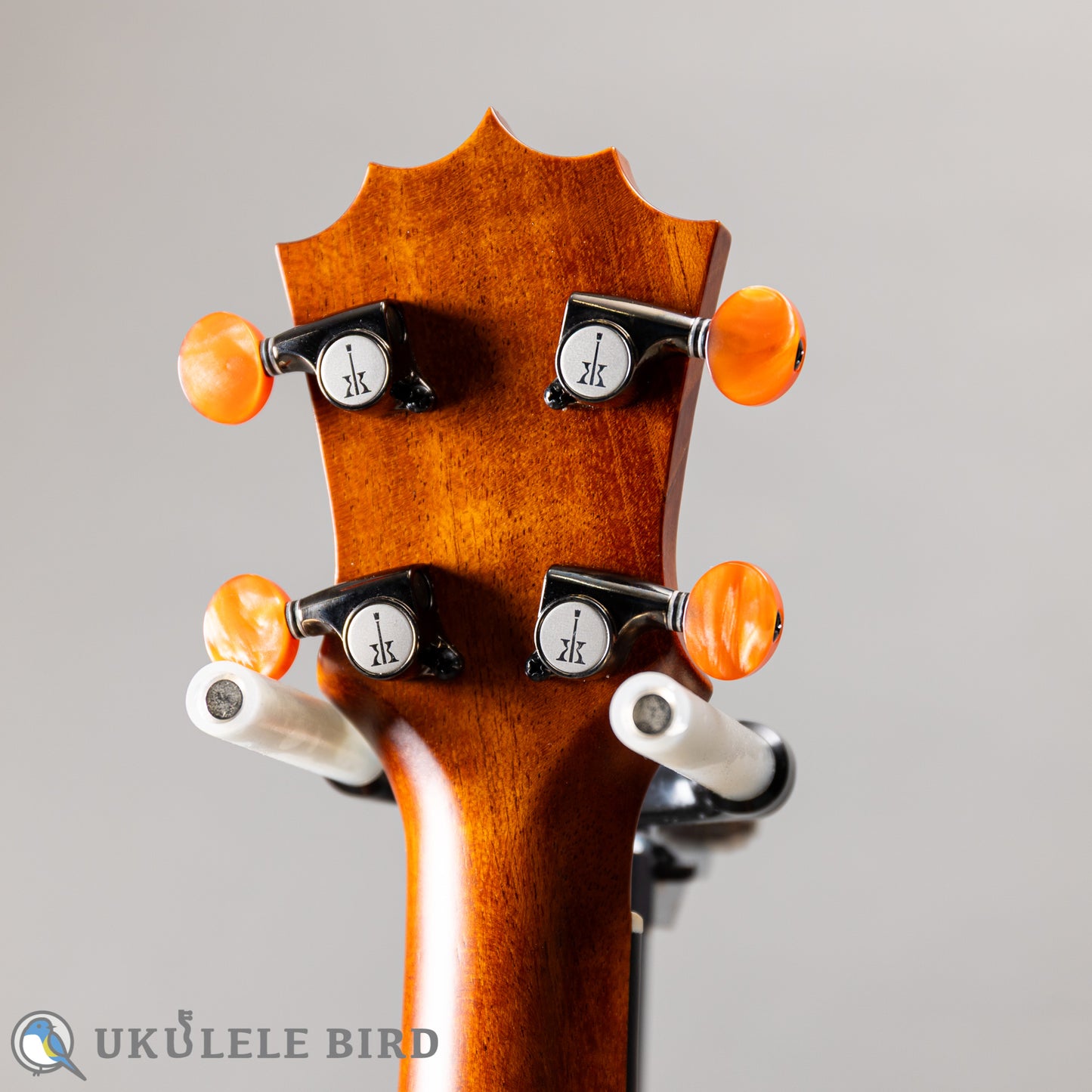 Koaloha KCM-10 Concert