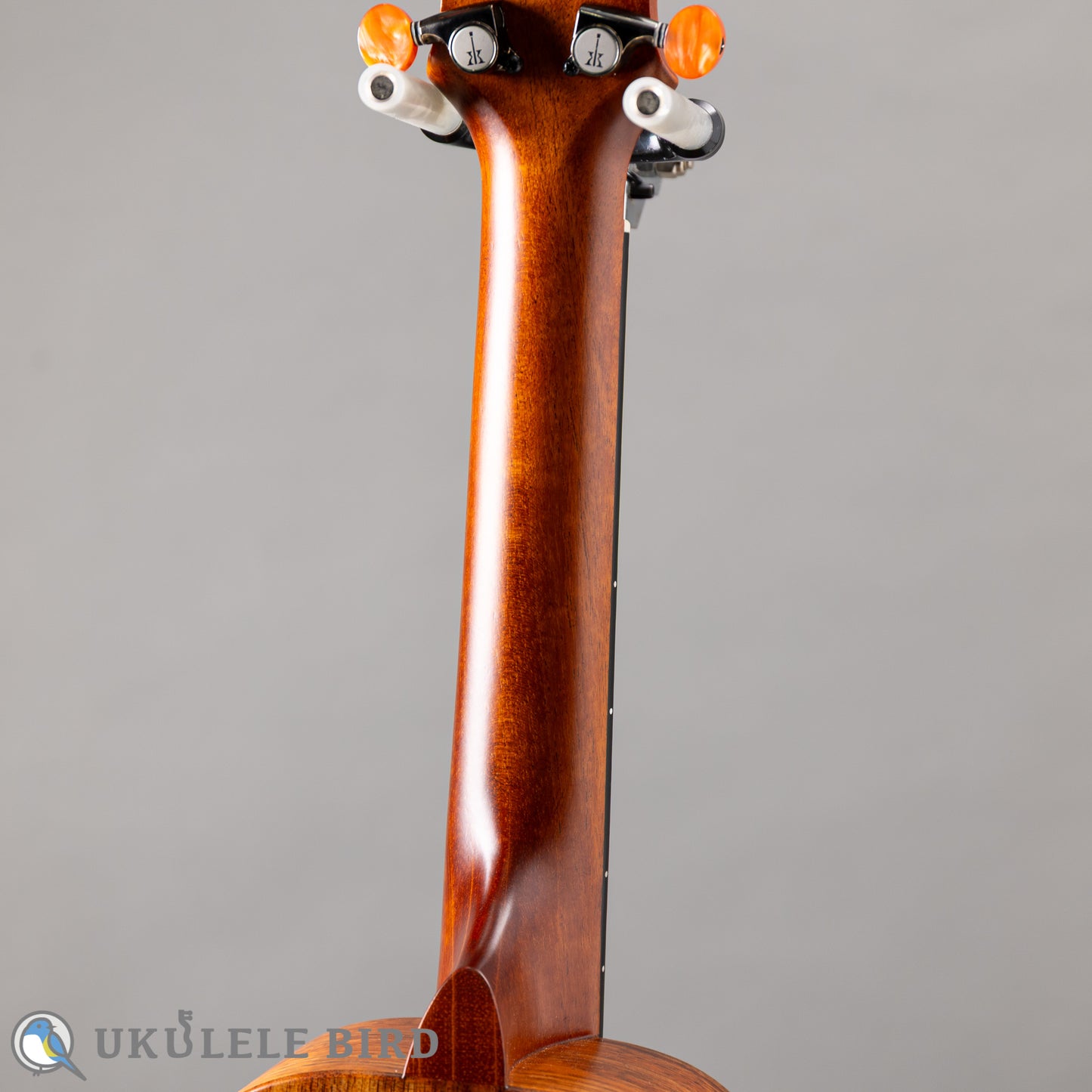 Koaloha KCM-00 Concert