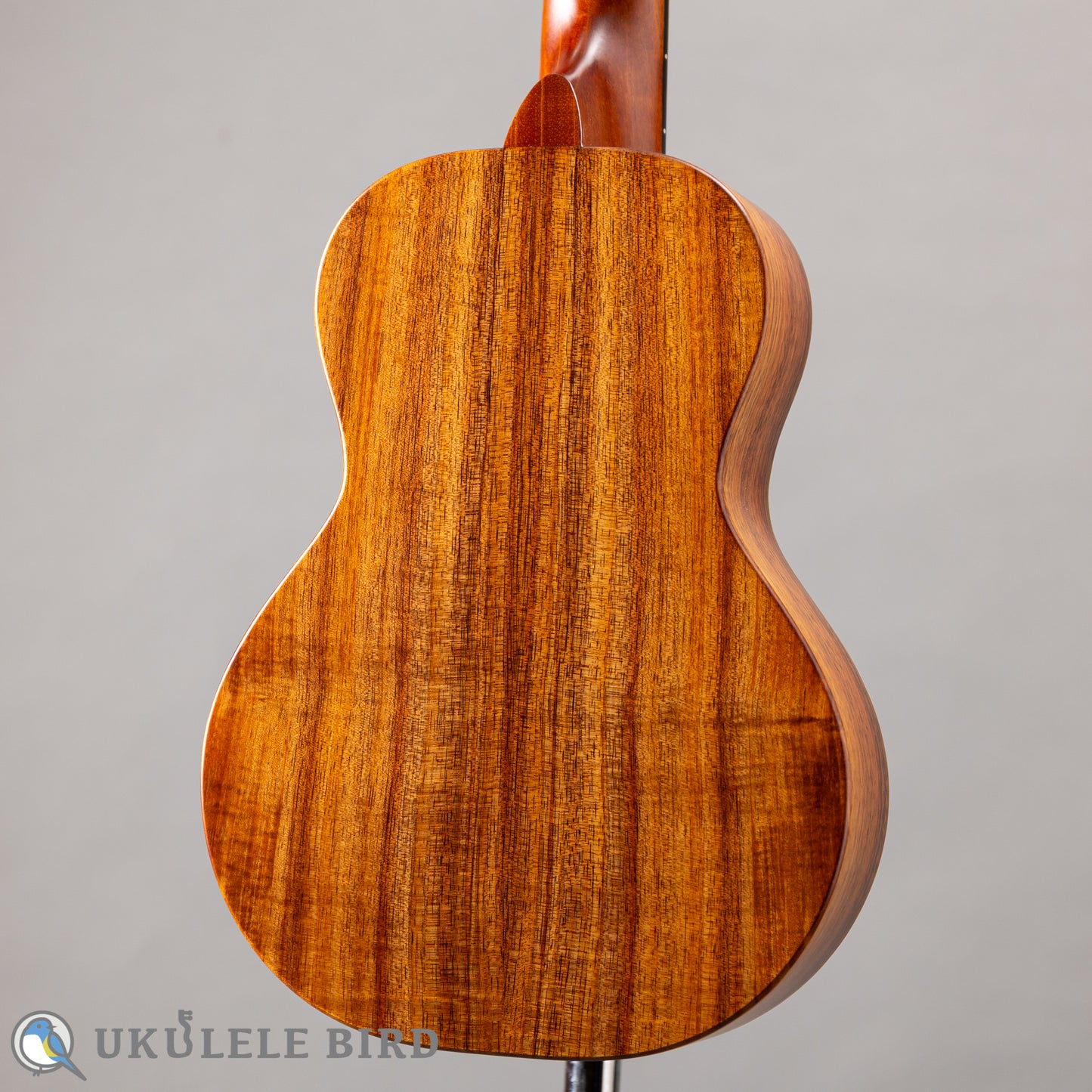 Koaloha KCM-10 Concert