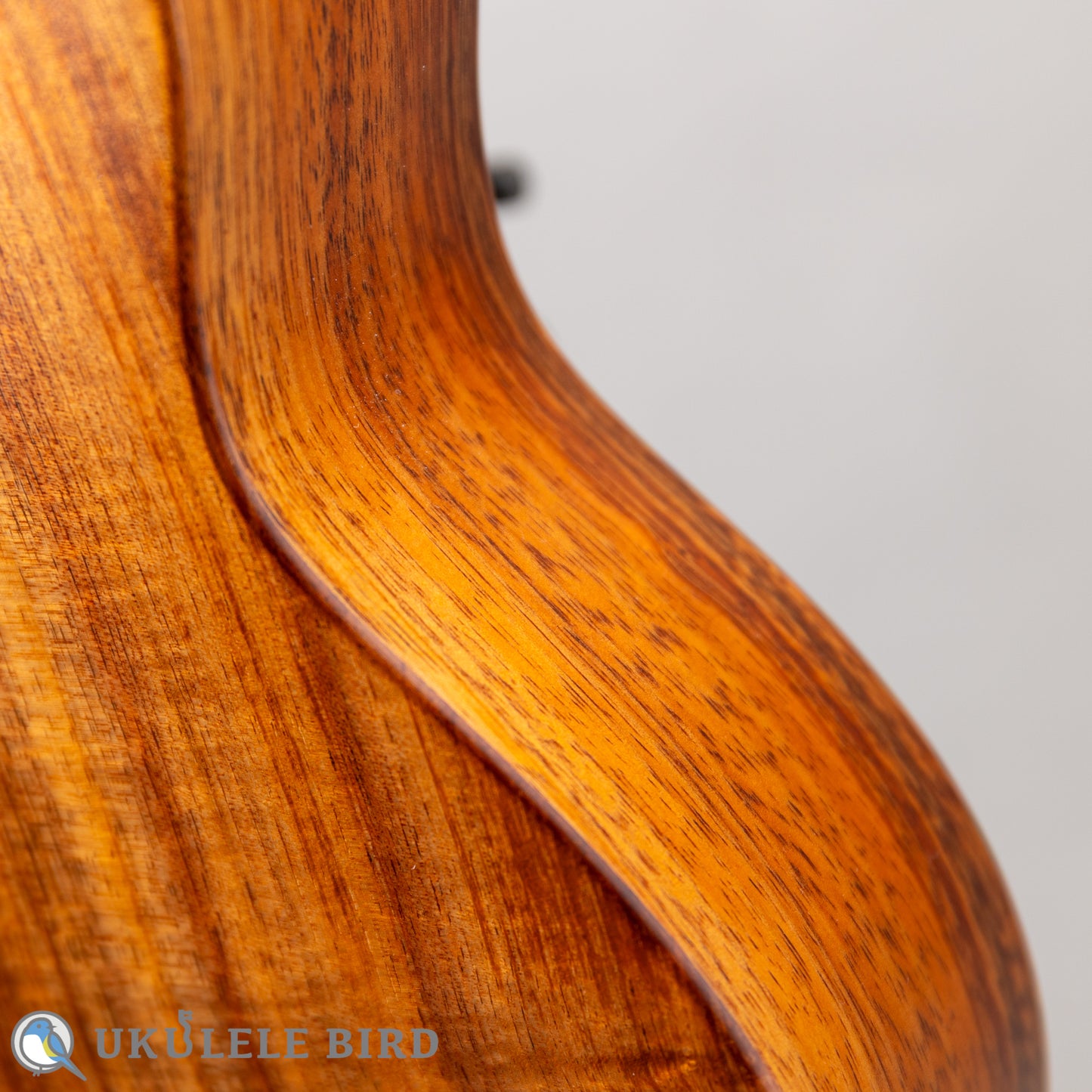 Koaloha KCM-00 Concert