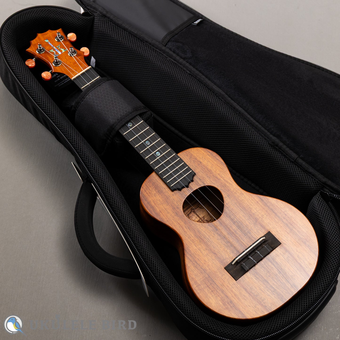 Koaloha KCM-10 Concert