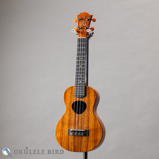 Koaloha KCM-10 Concert