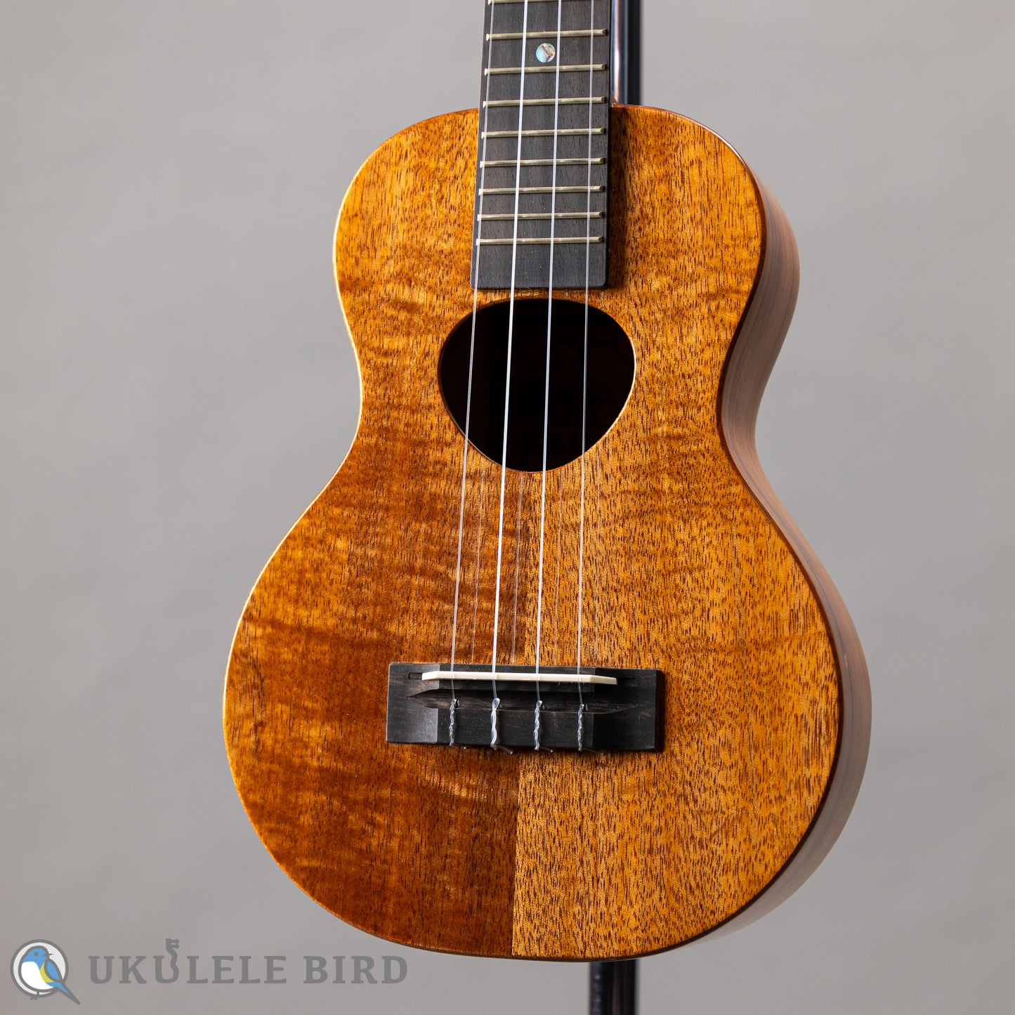 Koaloha KCM-00 Concert