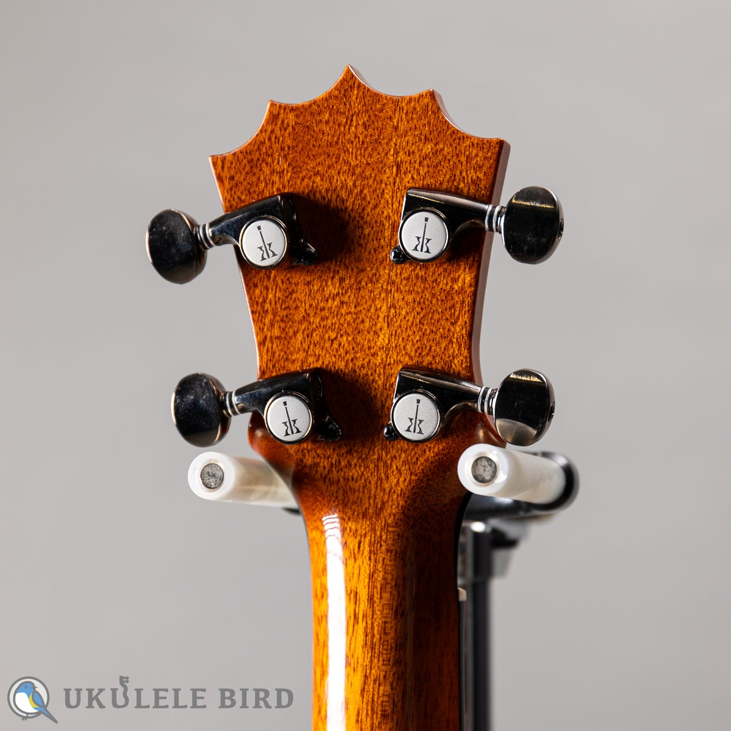 Koaloha KCM-00 Concert