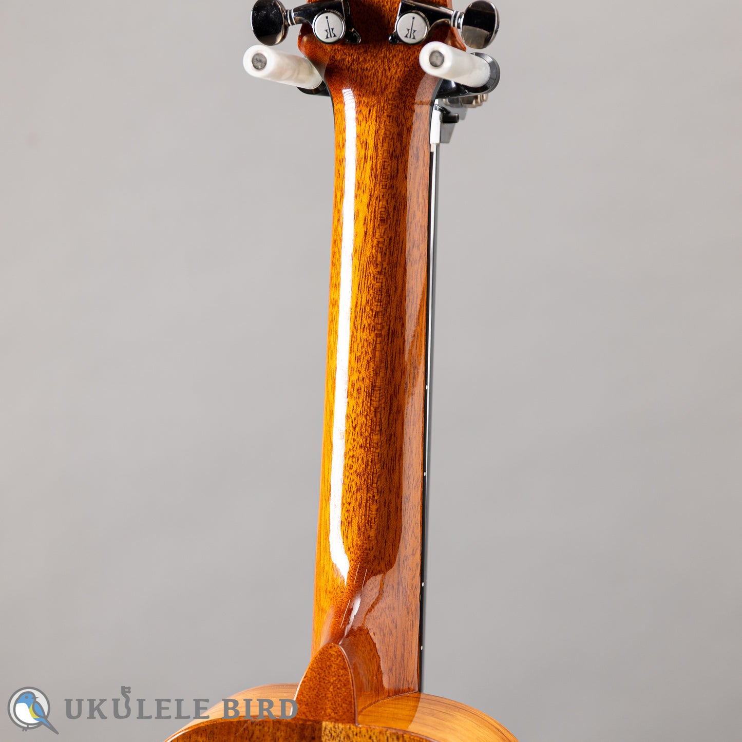 Koaloha KCM-00 Concert