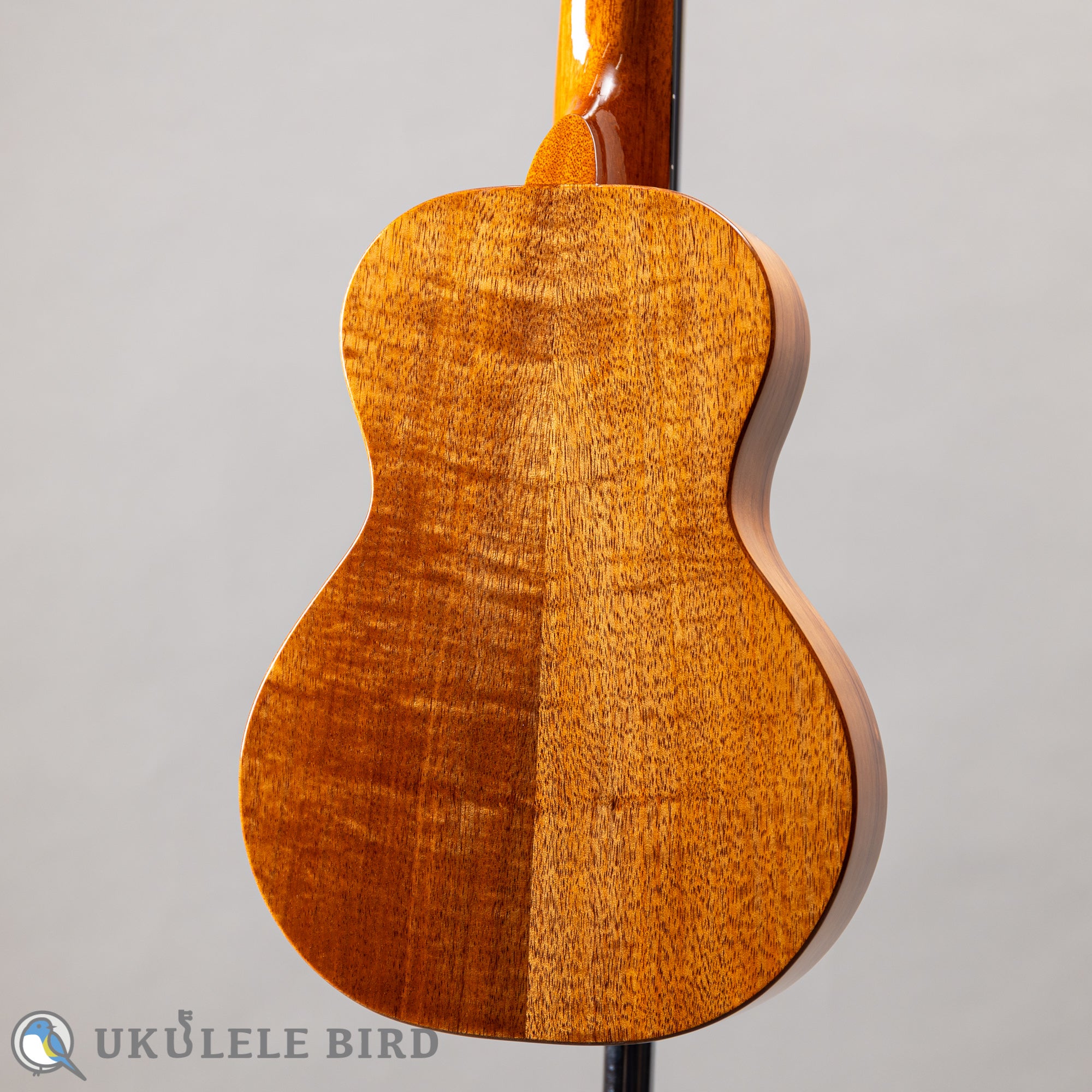 Koaloha KCM-00 Concert – Ukulele Bird （株式会社ラストギター）