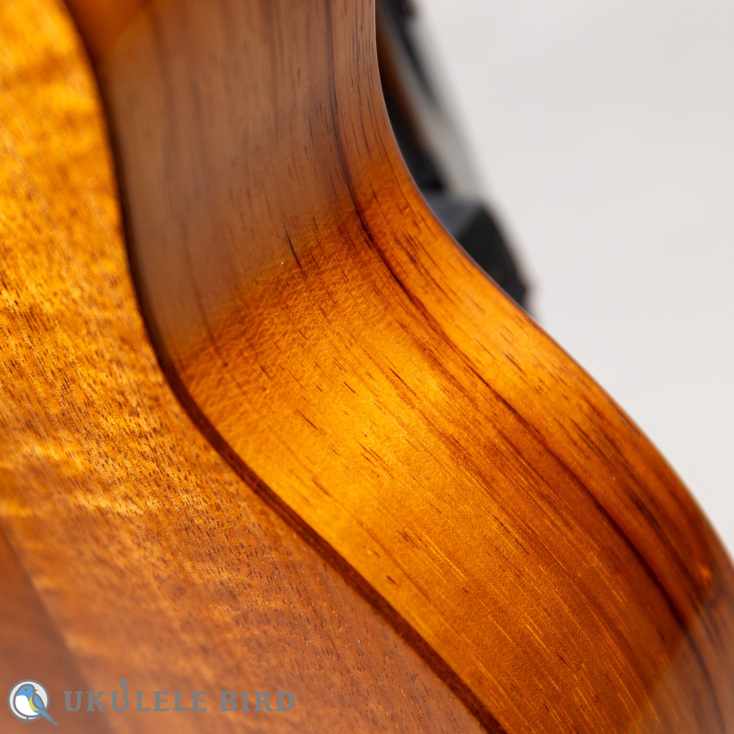 Koaloha KCM-00 Concert