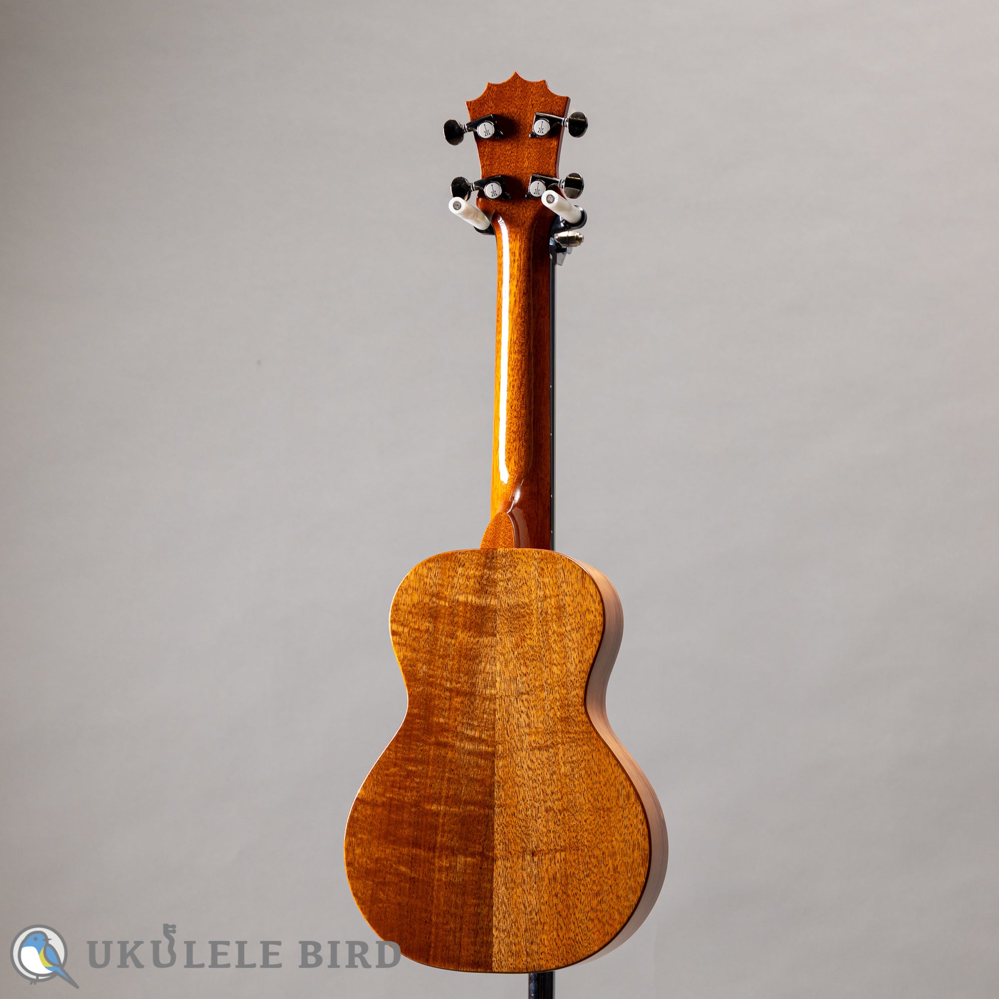 Koaloha KCM-00 Concert – Ukulele Bird （株式会社ラストギター）