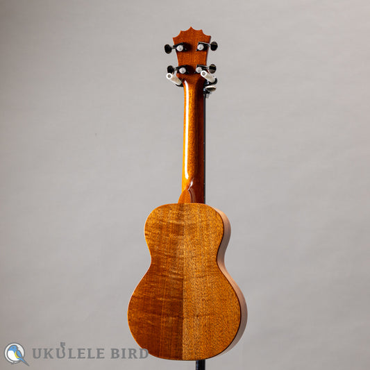 Koaloha KCM-00 Concert