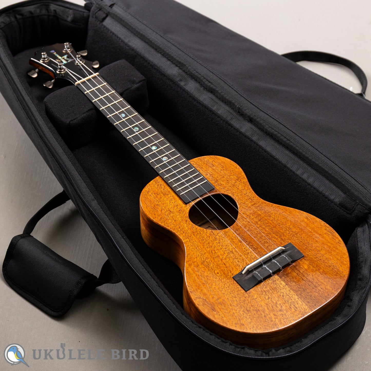 Koaloha KCM-00 Concert