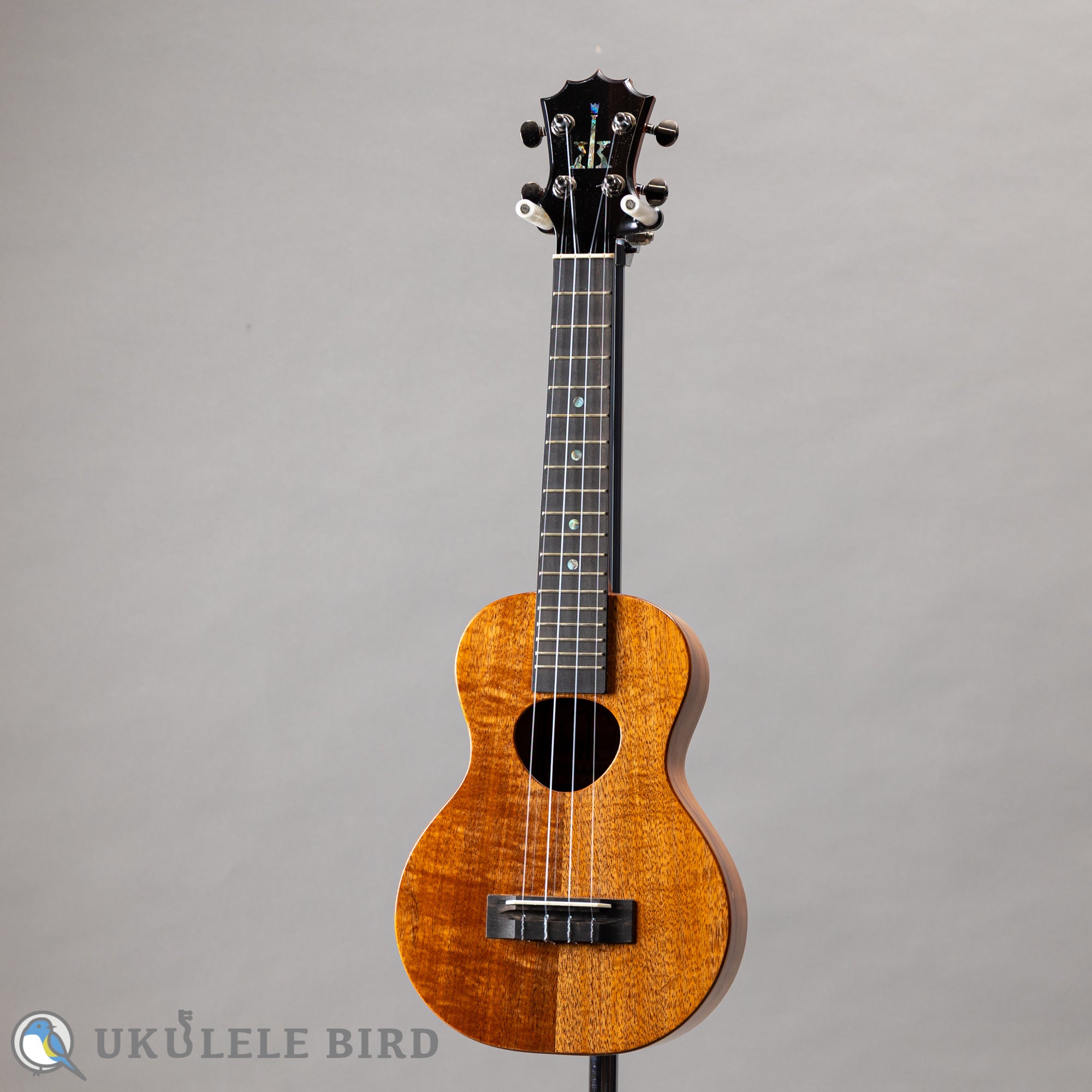 Koaloha KCM-00 Concert – Ukulele Bird （株式会社ラストギター）