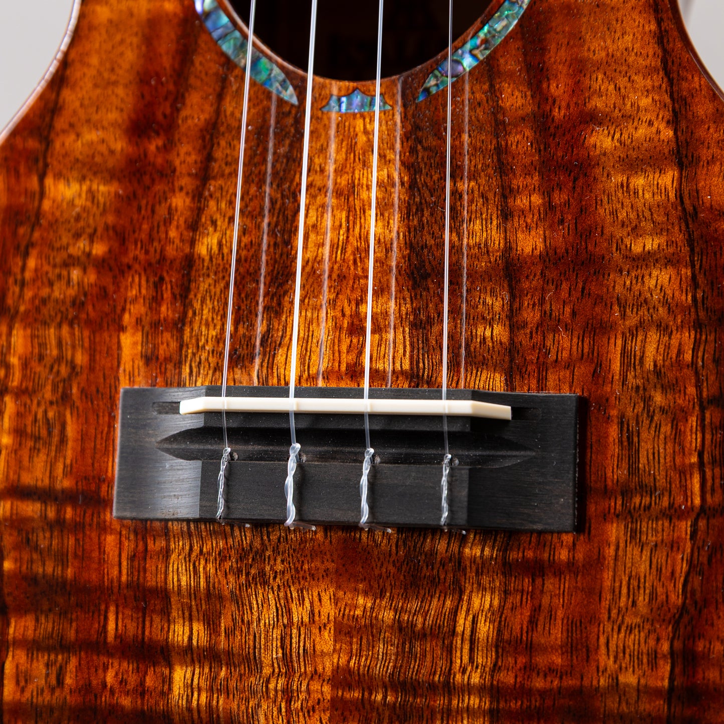 Koaloha Curly Koa Concert Special Issue