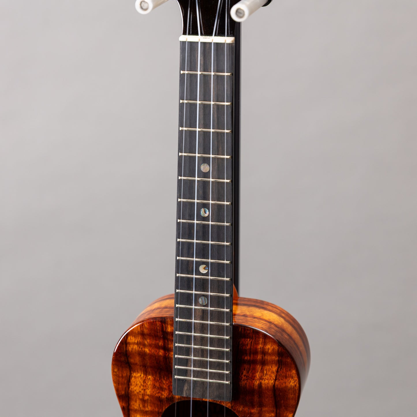 Koaloha Curly Koa Concert Special Issue