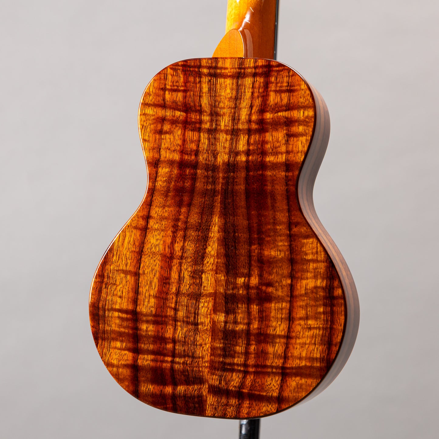 Koaloha Curly Koa Concert Special Issue