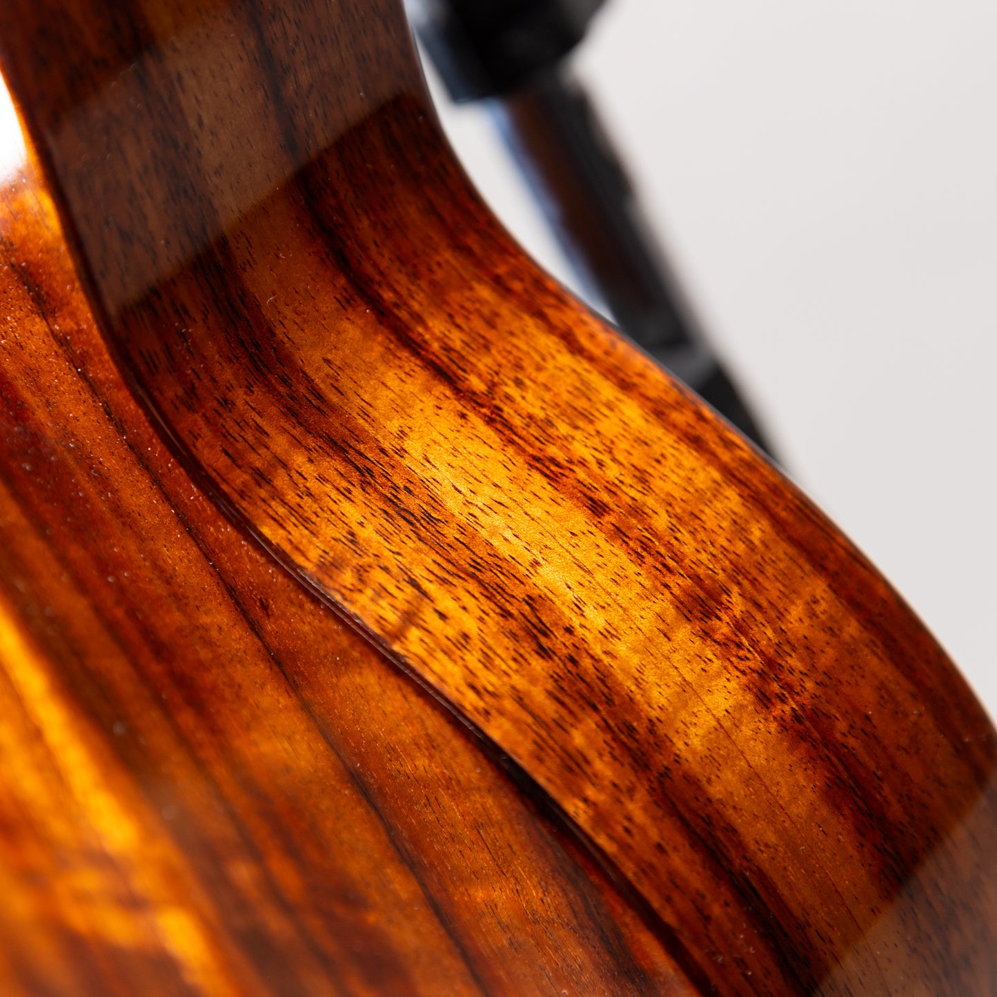 Koaloha Curly Koa Concert Special Issue