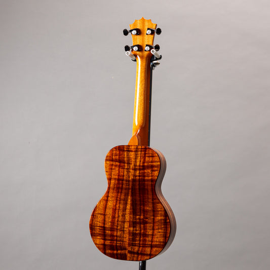 Koaloha Curly Koa Concert Special Issue