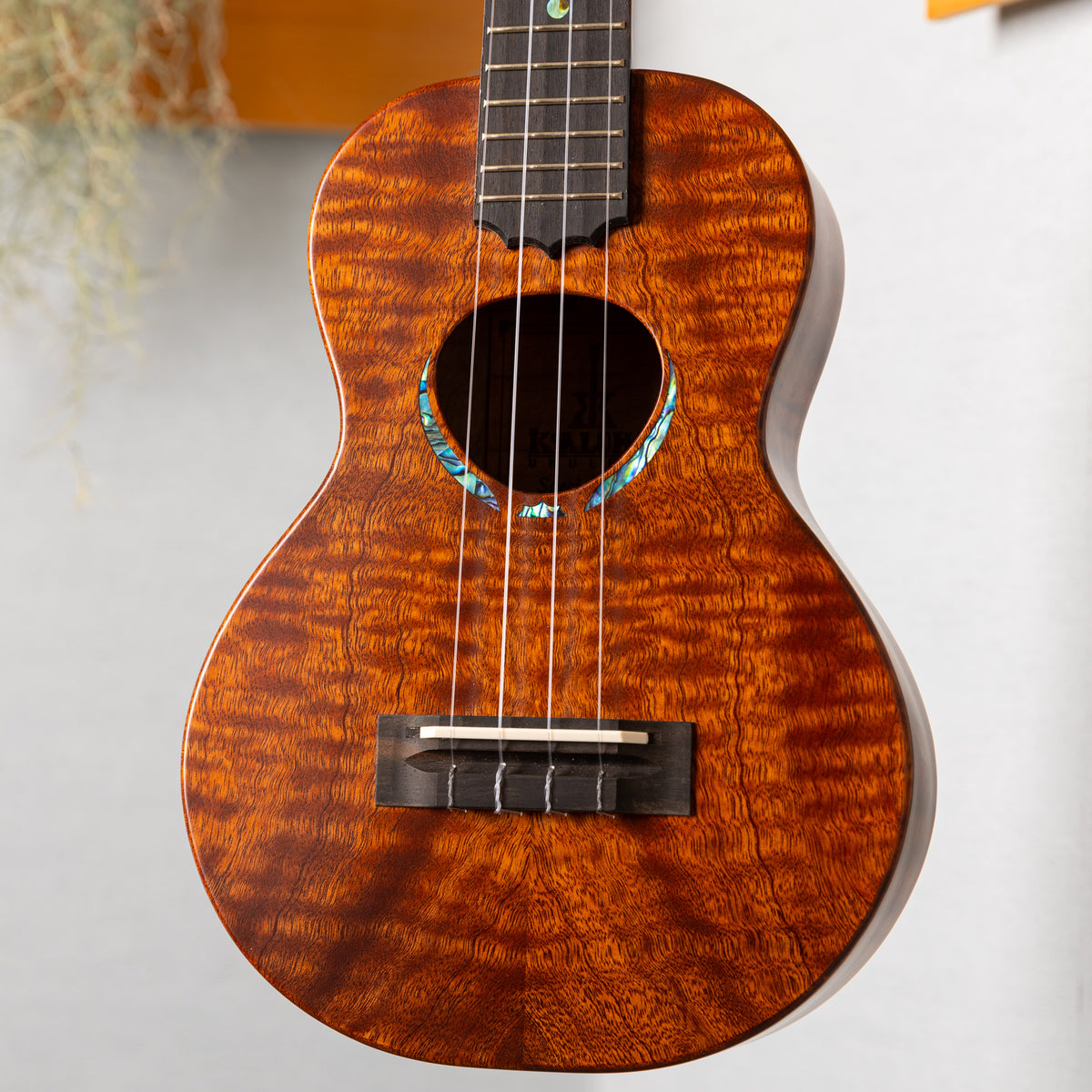 Koaloha Special Issue Concert Quilt Sapele