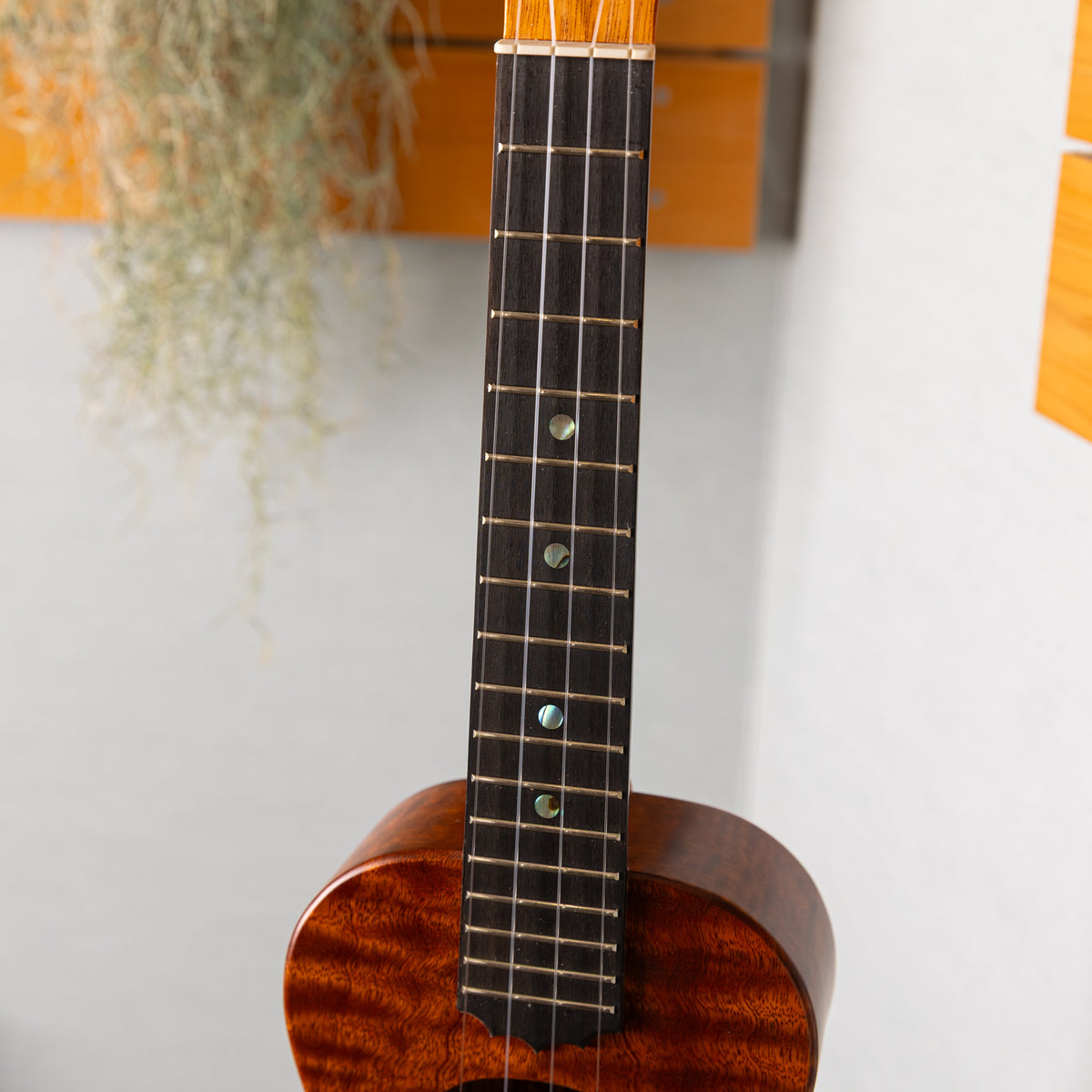 Koaloha Special Issue Concert Quilt Sapele