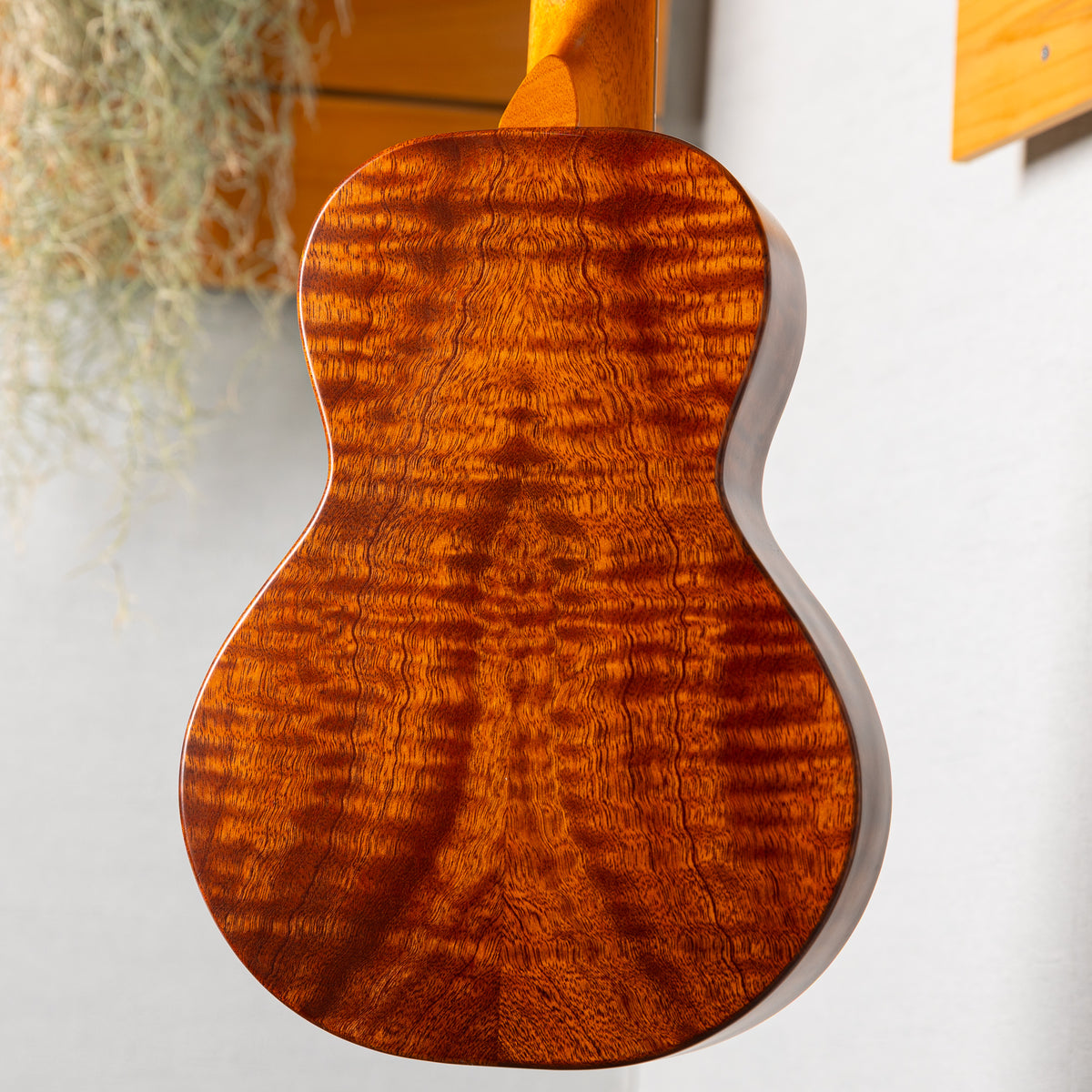 Koaloha Special Issue Concert Quilt Sapele