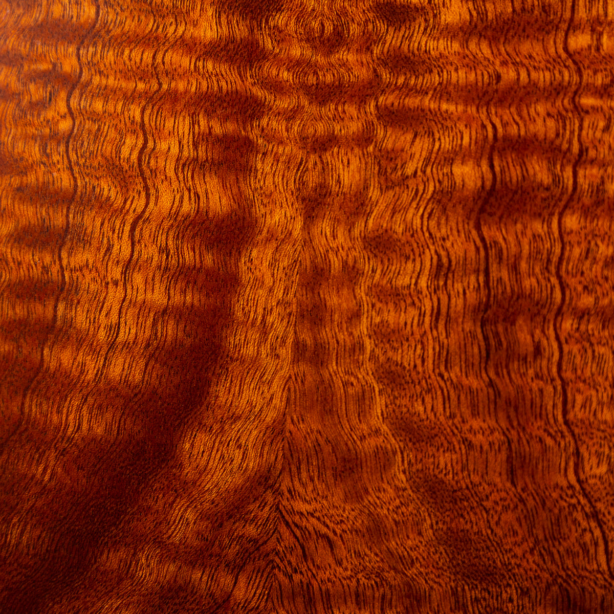 Koaloha Special Issue Concert Quilt Sapele