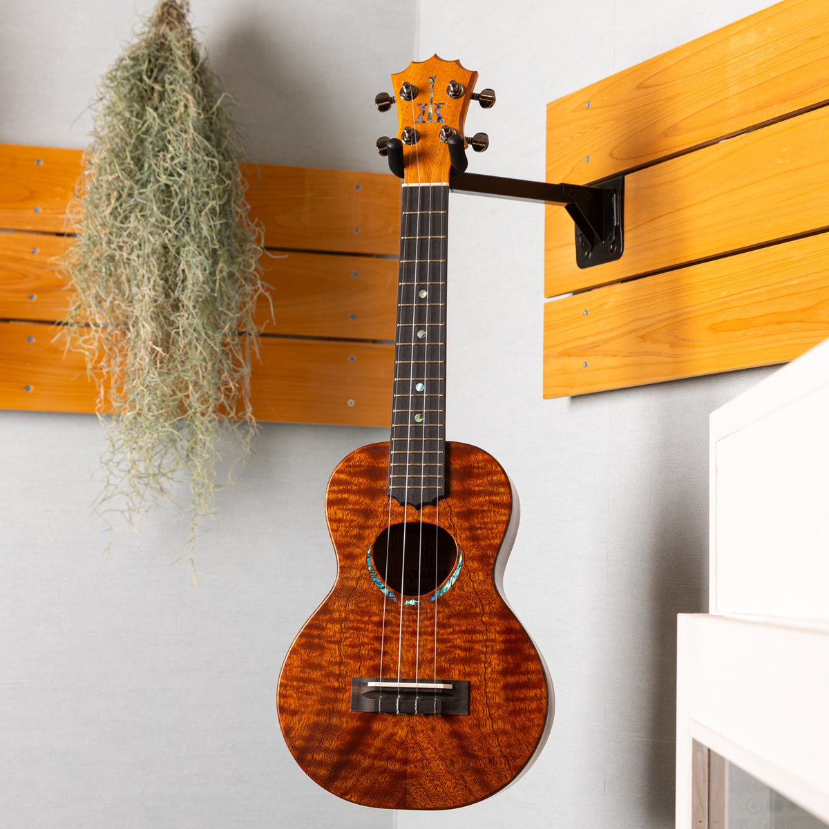Koaloha Special Issue Concert Quilt Sapele