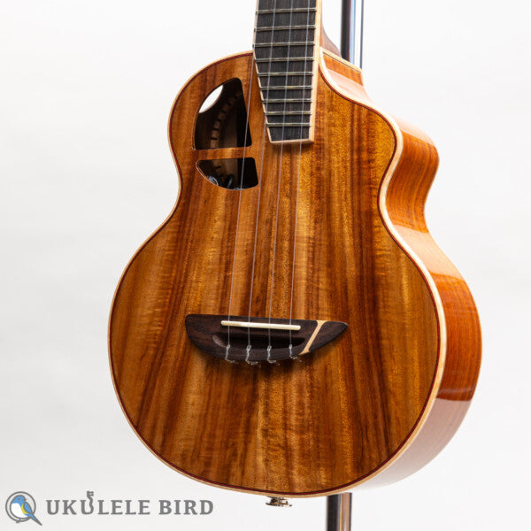 Le Light Koa w/PU Concert
