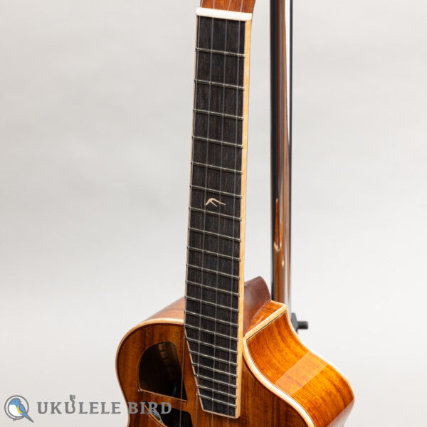 Le Light Koa w/PU Concert