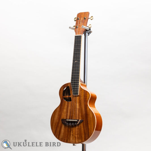 Le Light Koa w/PU Concert