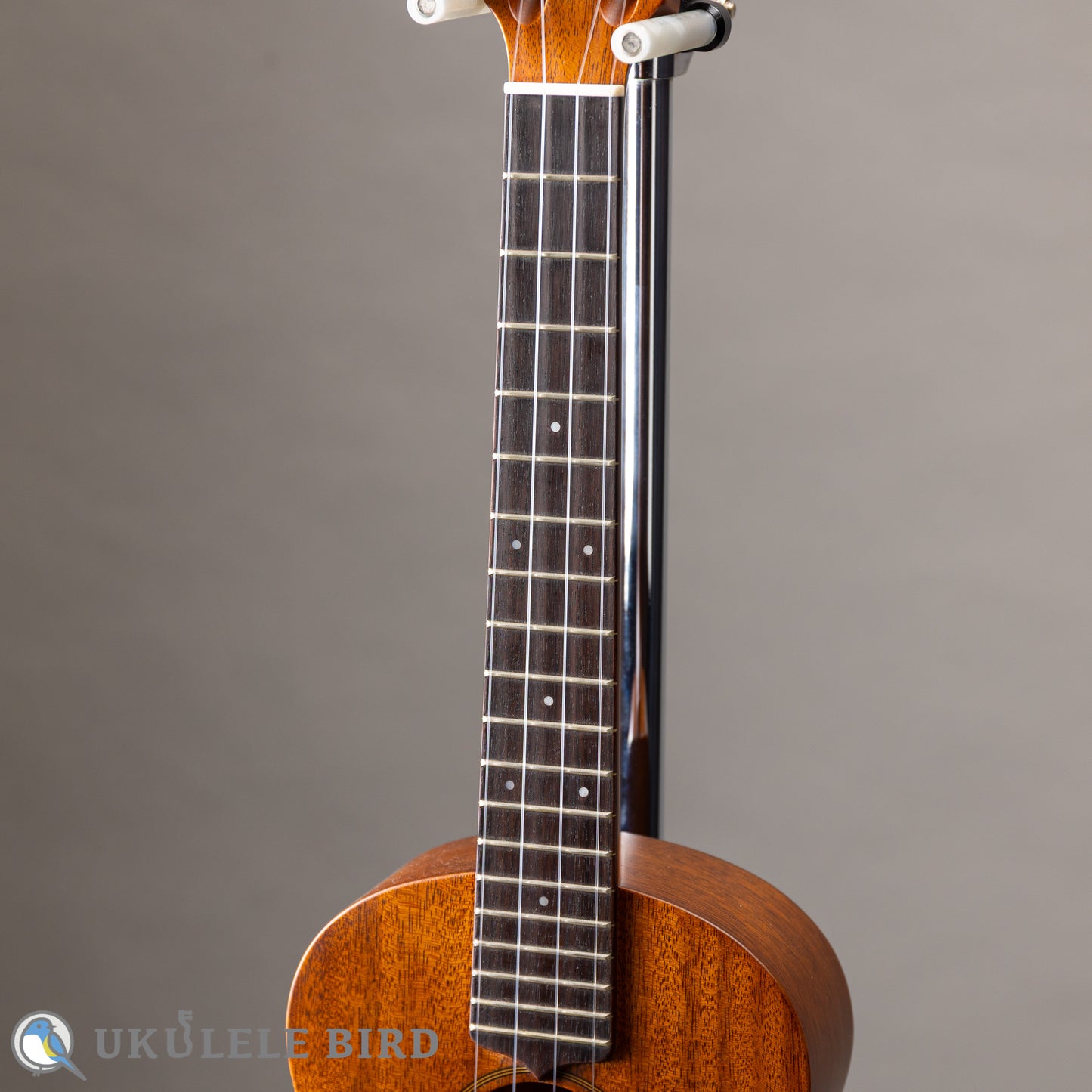 LUNA LT-SL