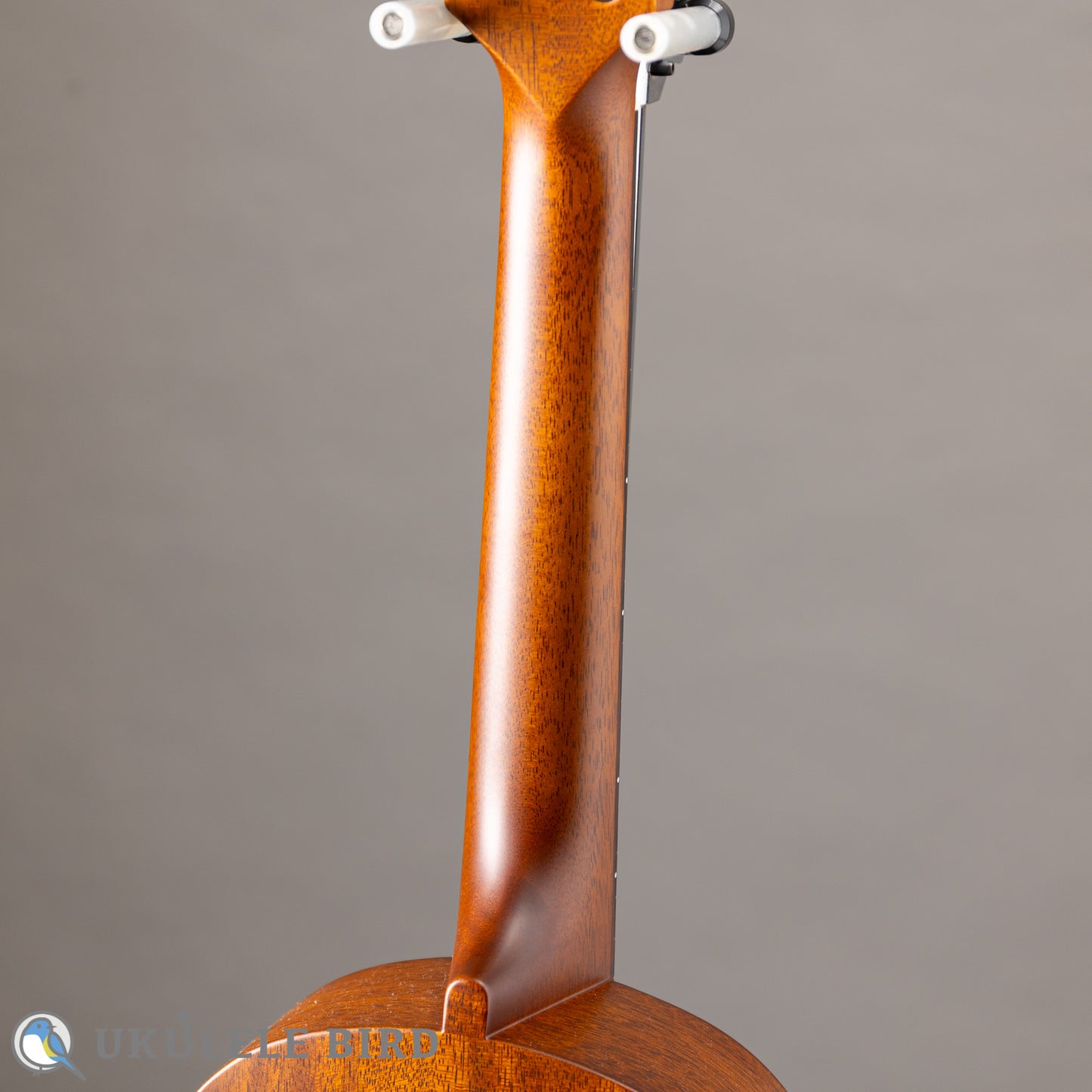 LUNA LT-SL
